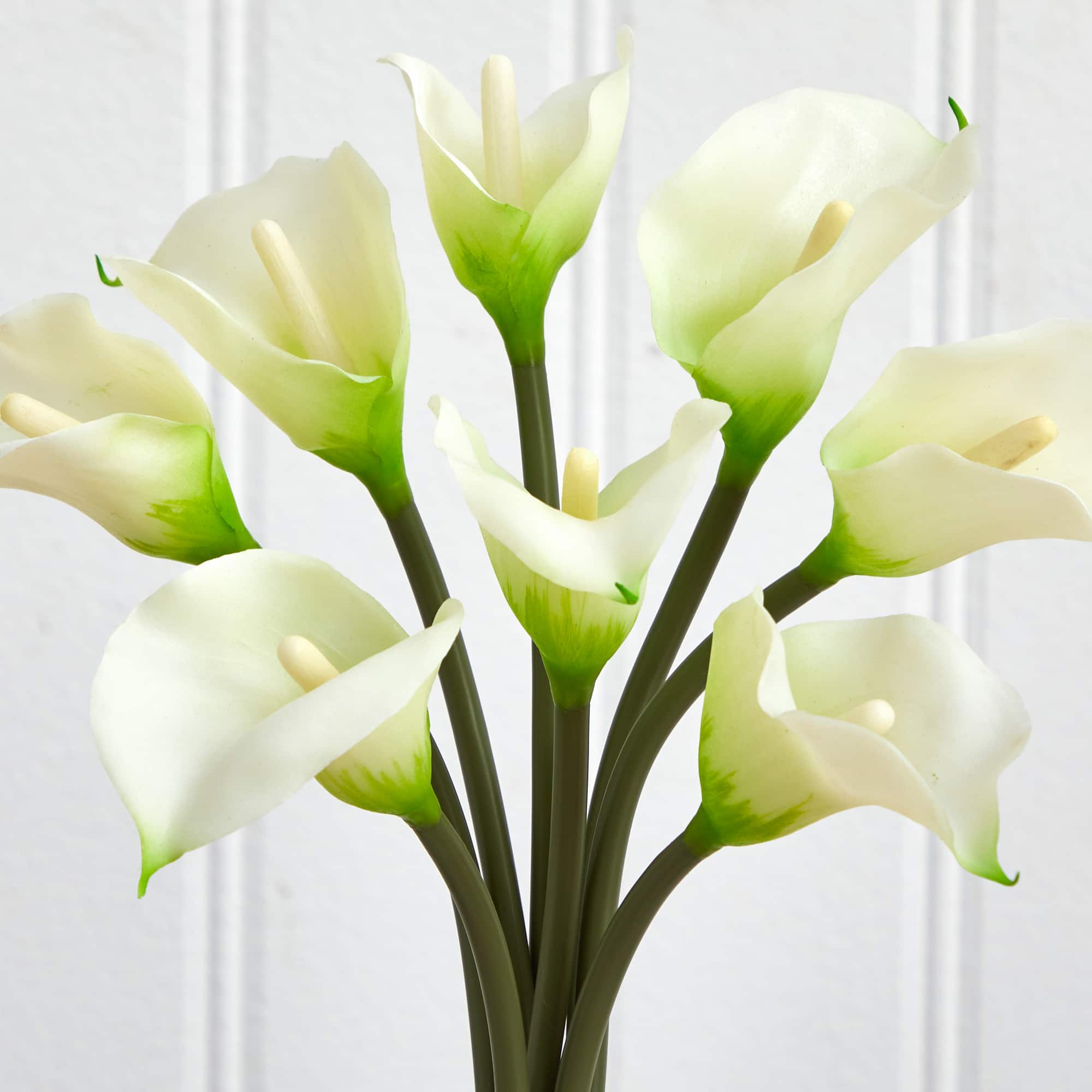 16" Classic Calla Lily Arrangement in Vase