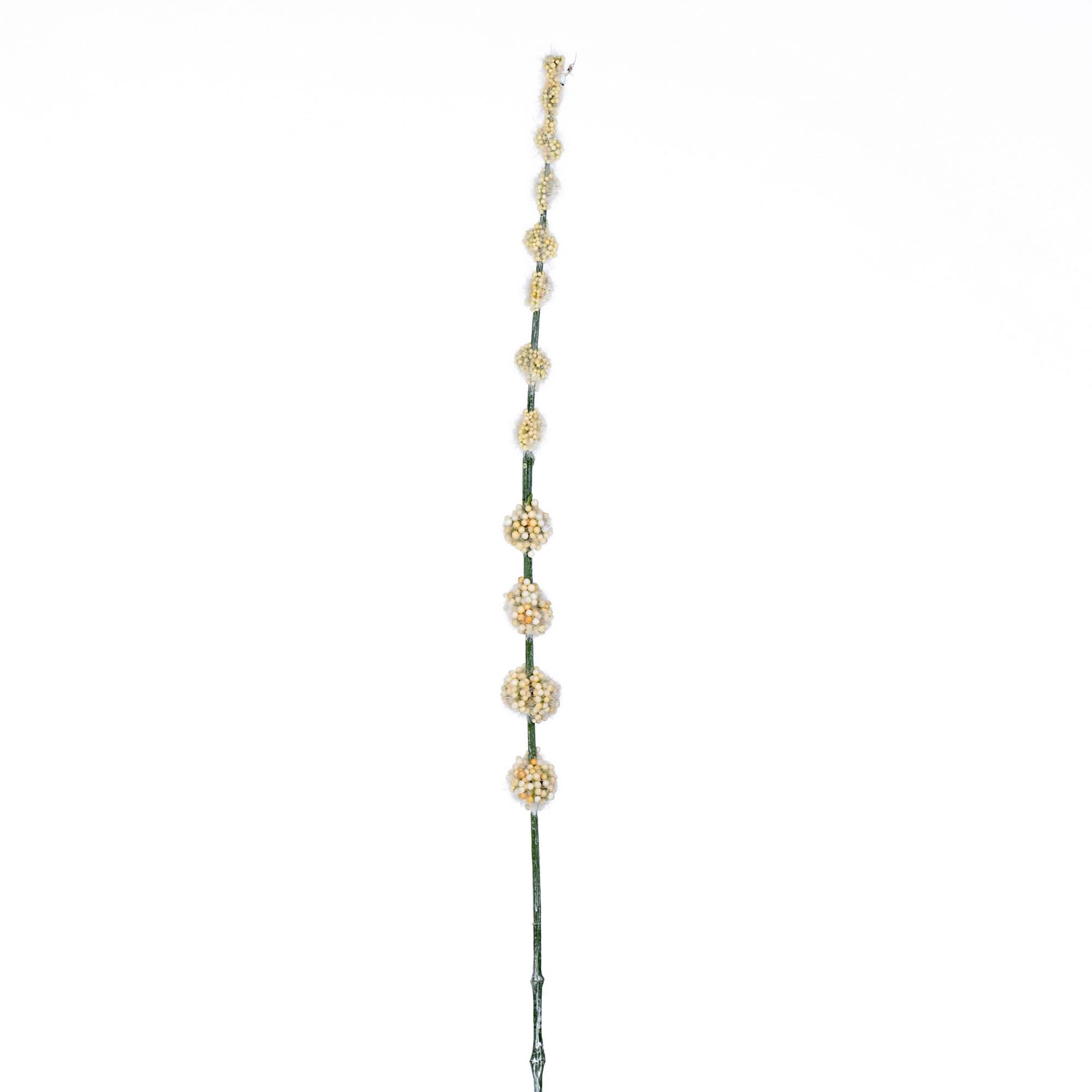6 Pack: Cream Pom Pom Stem