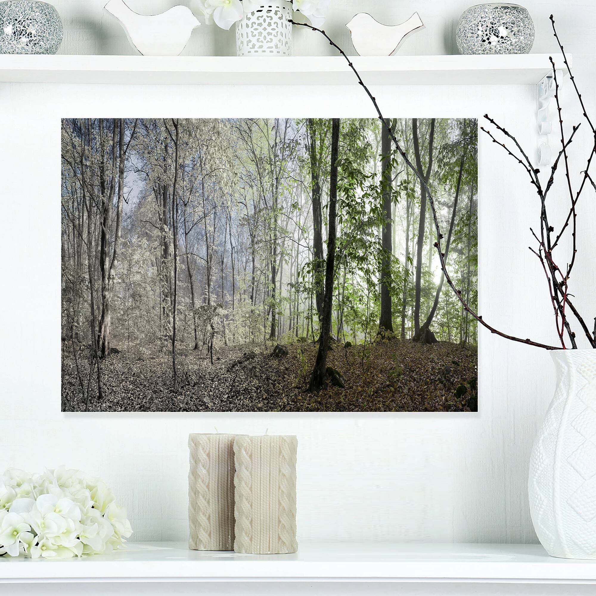 Designart - Morning in Forest Panorama