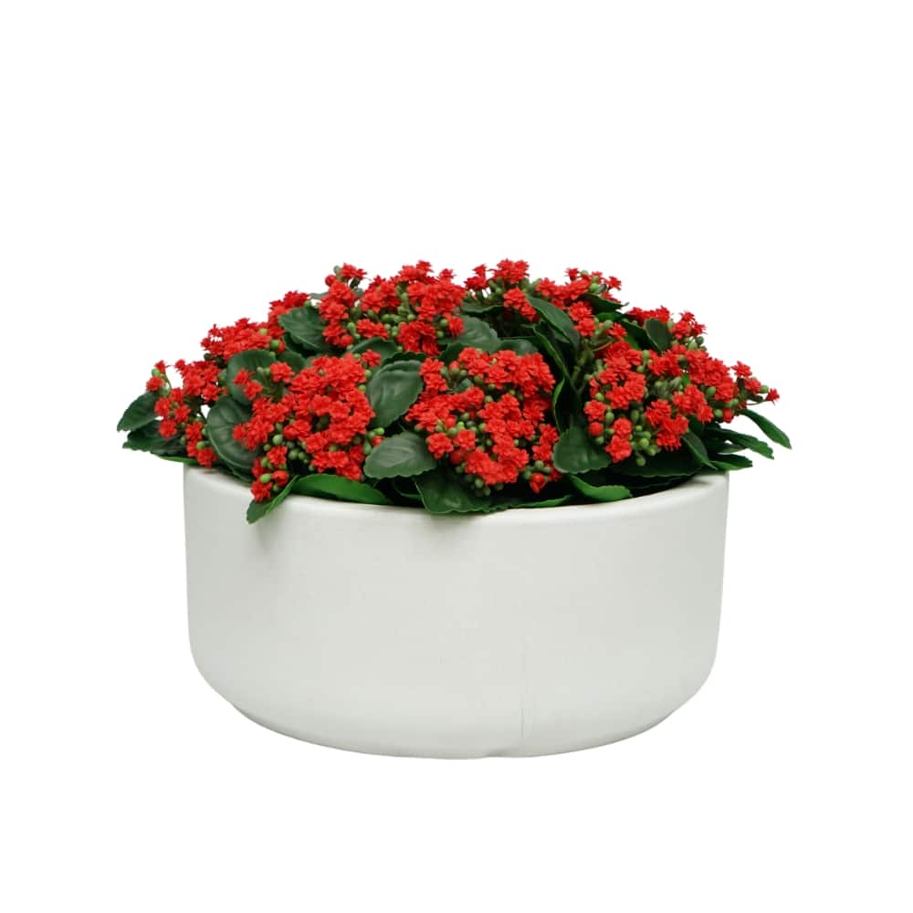 House of Silk Flowers 21" Faux Red Kalanchoe in Stonewash White Ceramic Bowl Arrangement