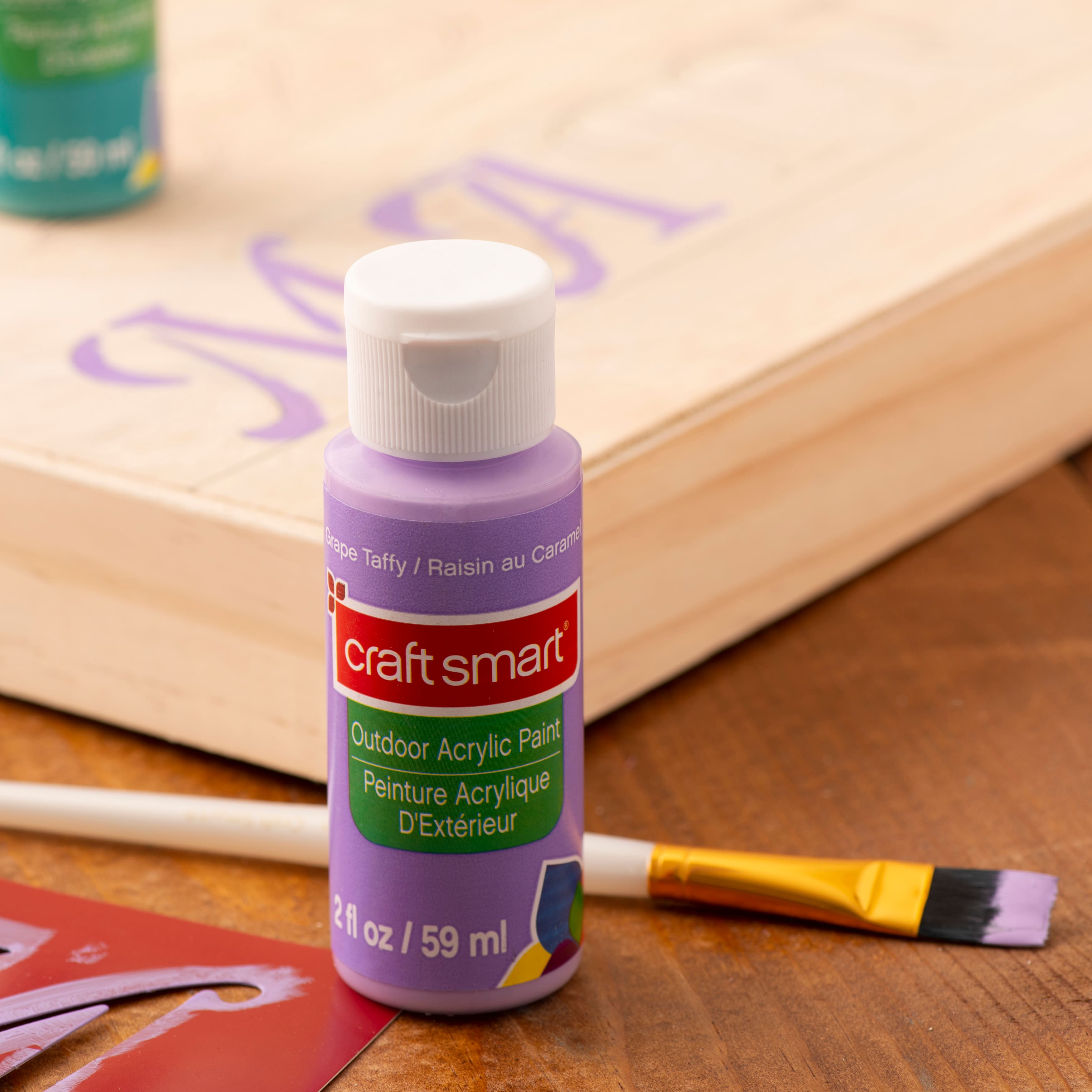 12 Pack: Outdoor Acrylic Paint by Craft Smart®, 2oz.