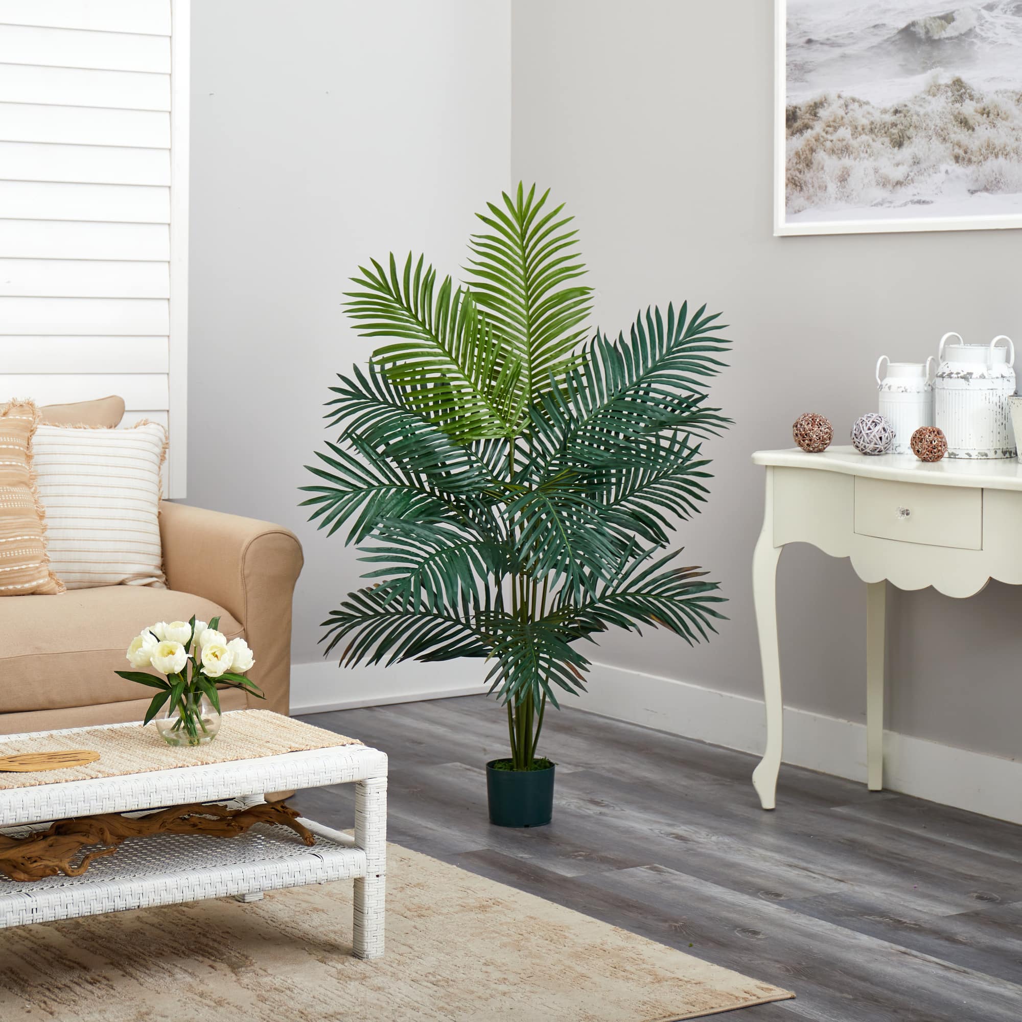 5ft. Potted Paradise Palm