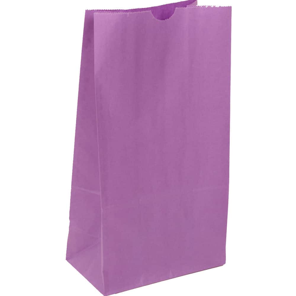 JAM Paper Purple Medium Lunch Bags, 500ct.