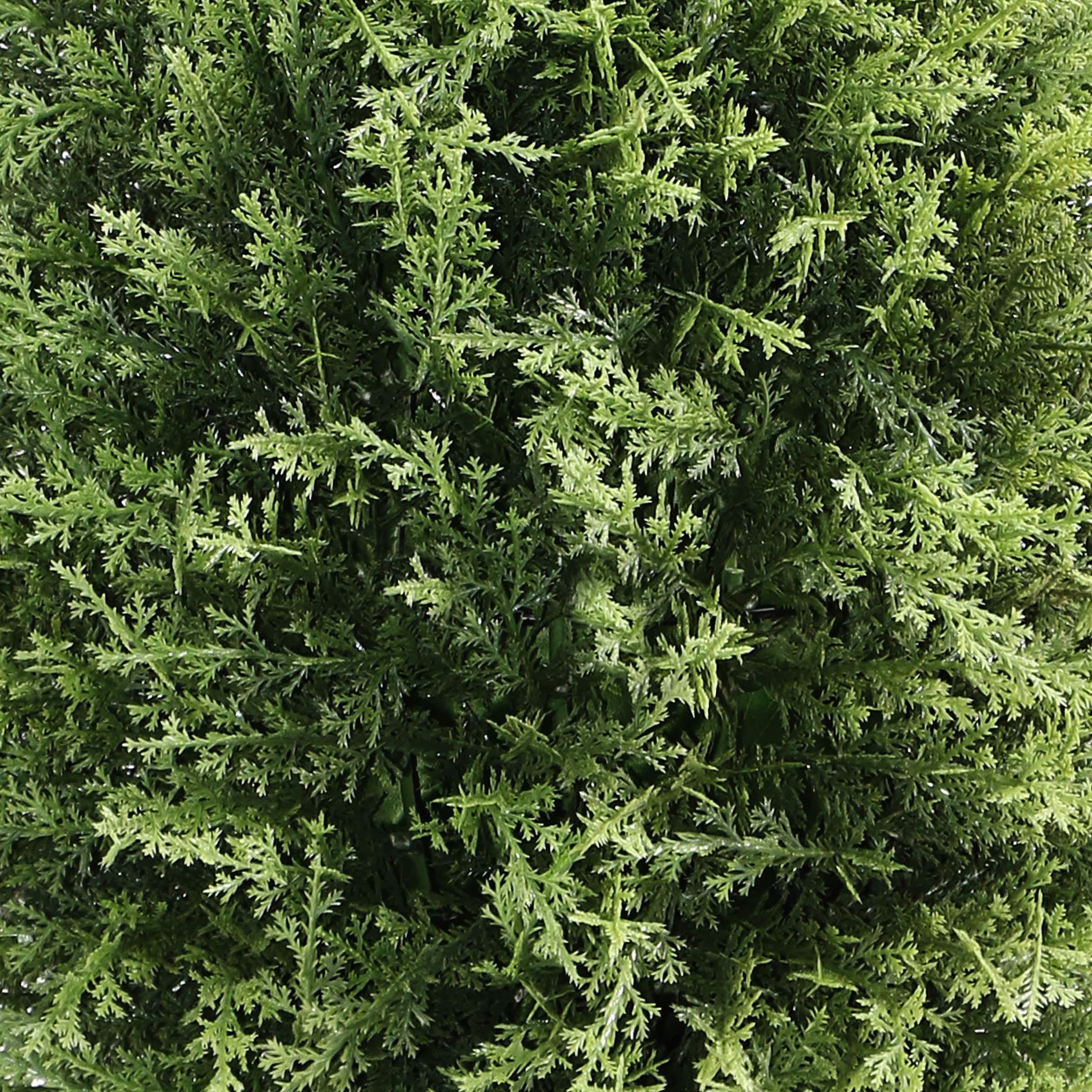 32" Cypress Tree