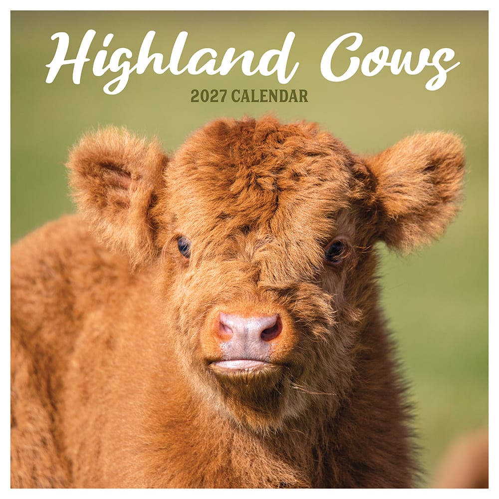 2027 Highland Cows Wall Calendar