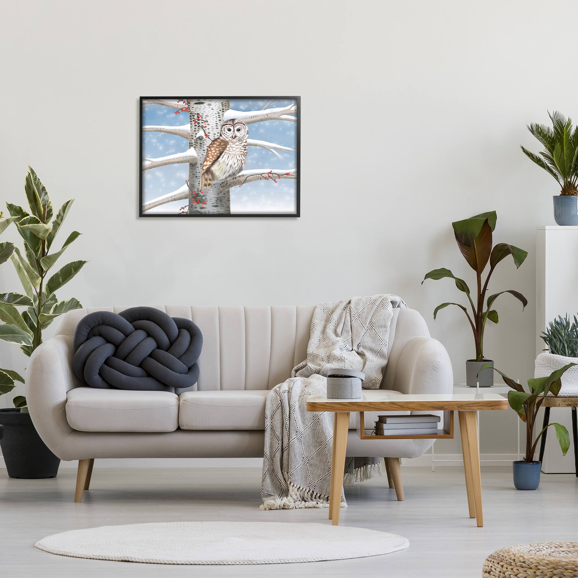 Stupell Industries Snowy Birch Tree Owl Framed Giclee Art