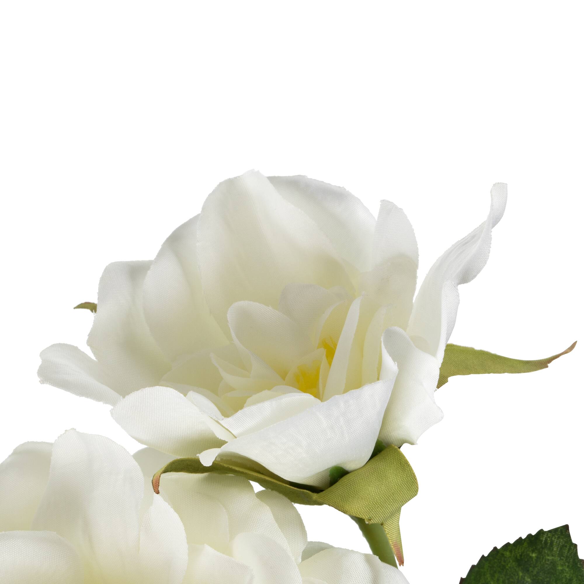 White Rose Stem, 3ct.