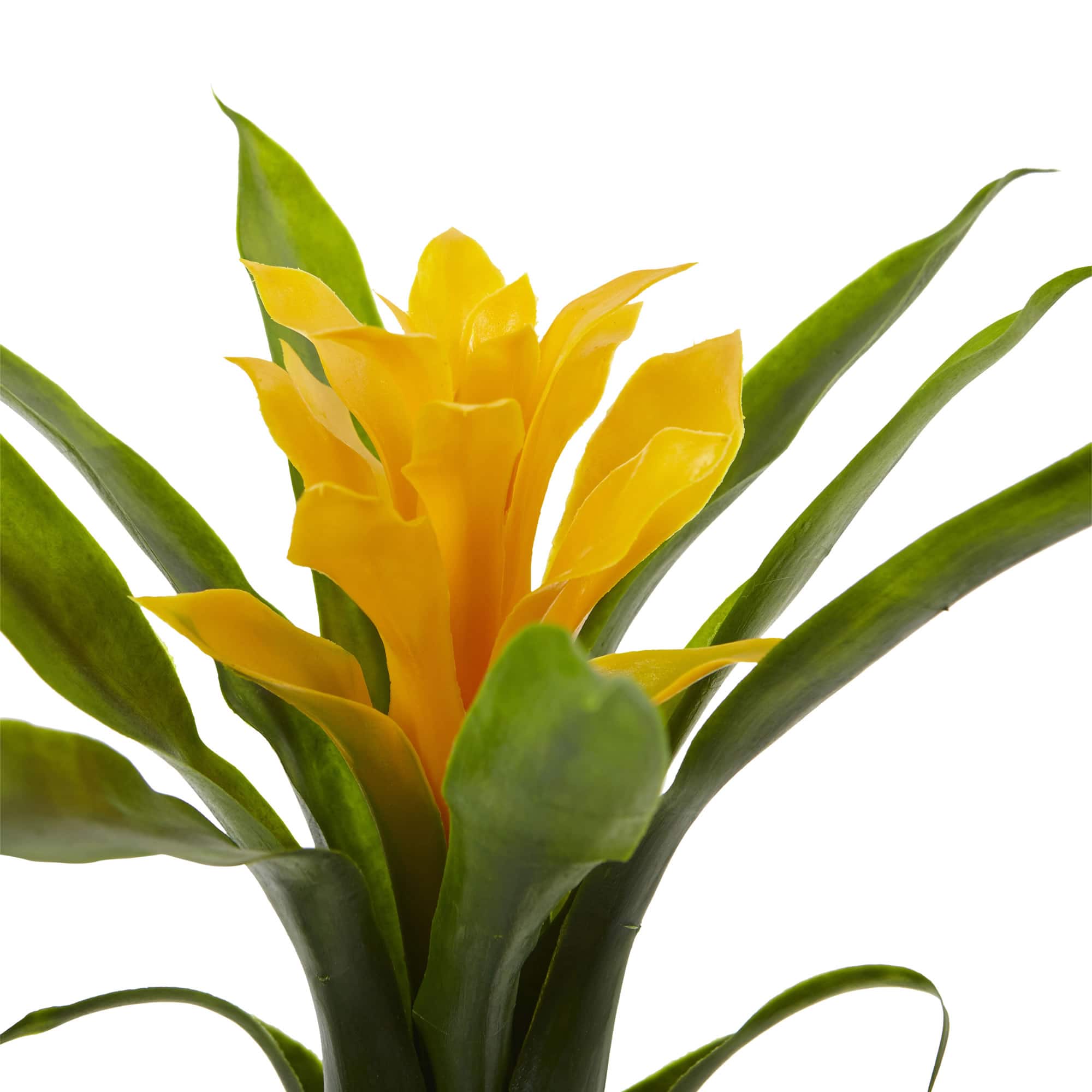 Yellow Bromeliad Flower, 6ct.