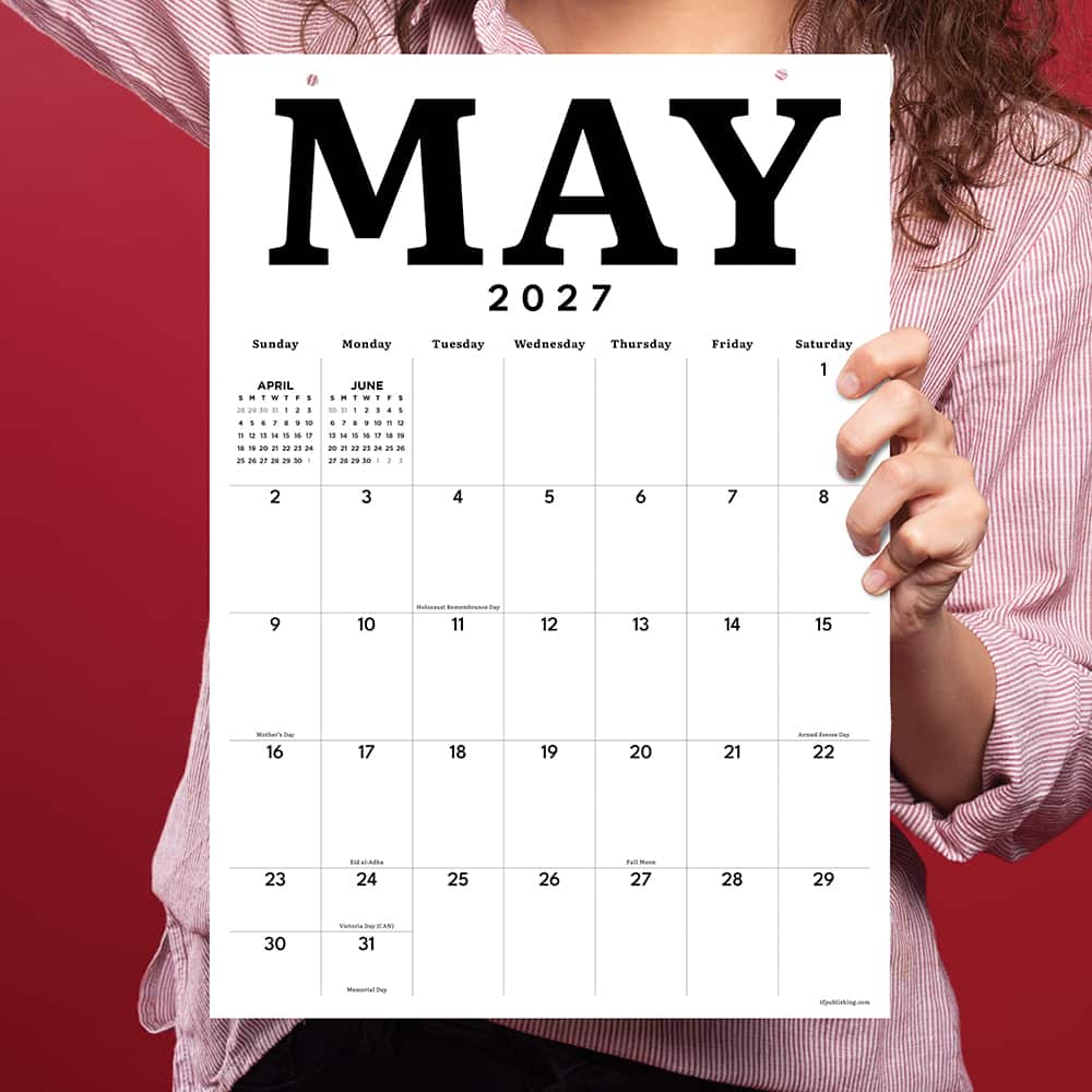 2027 Medium Art Poster Wall Calendar