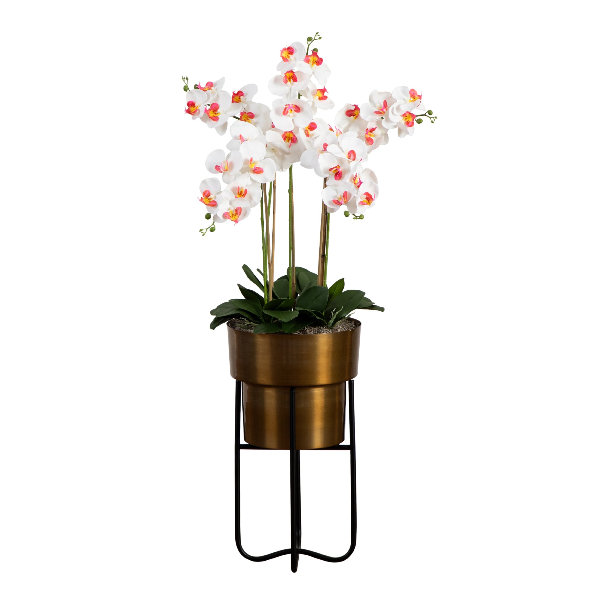 4ft. White Orchid Arrangement in Brass Metal Planter with Stand
