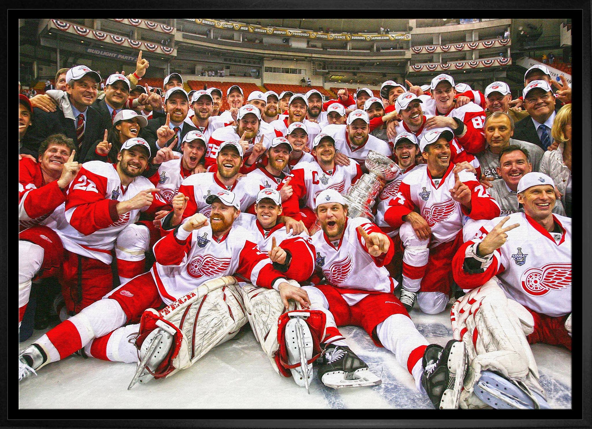 Detroit Red Wings 20" x 29" Framed Canvas 2008 Stanley Cup 31.5" x 22.5"