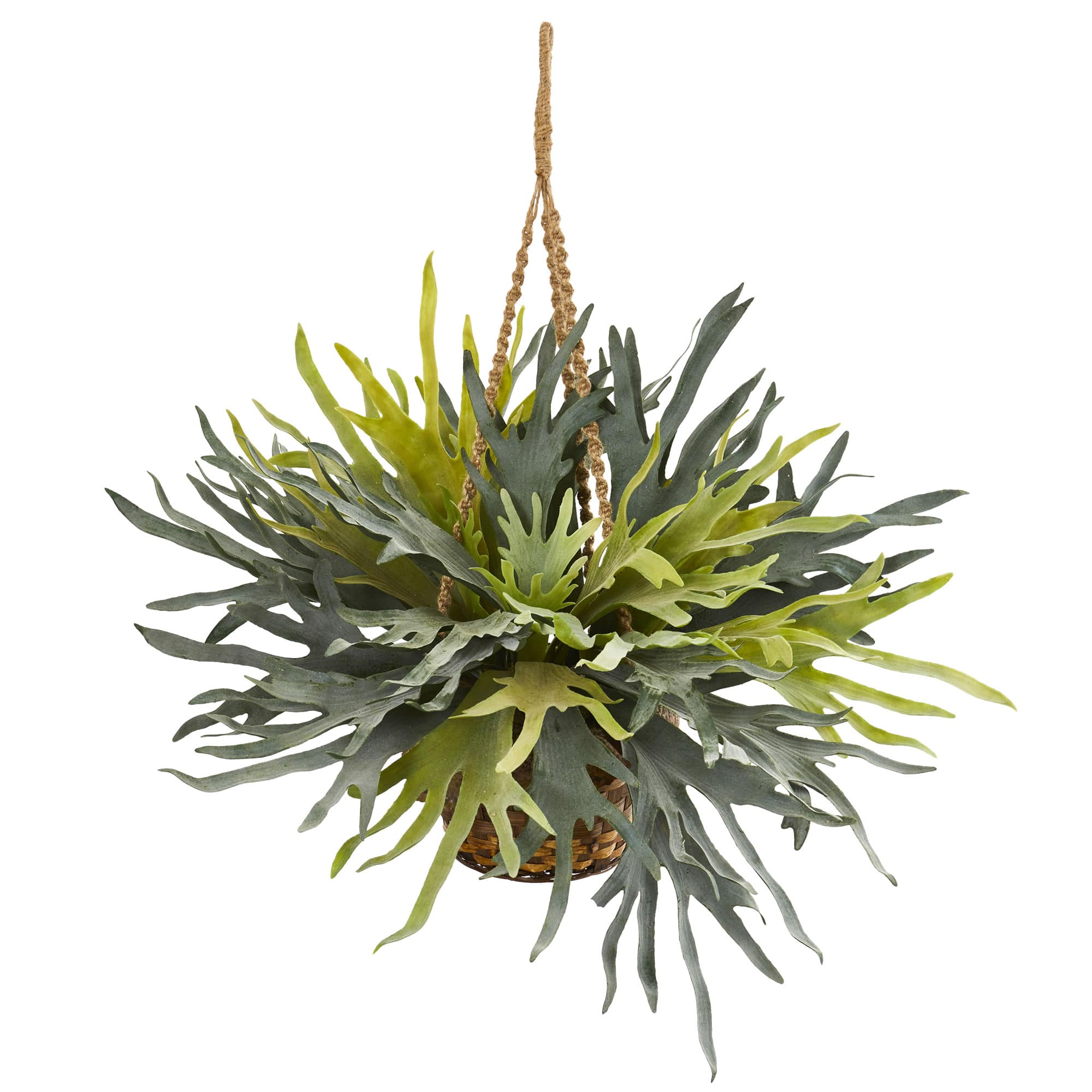 2.5ft. Staghorn Artificial Plant in Hanging Basket
