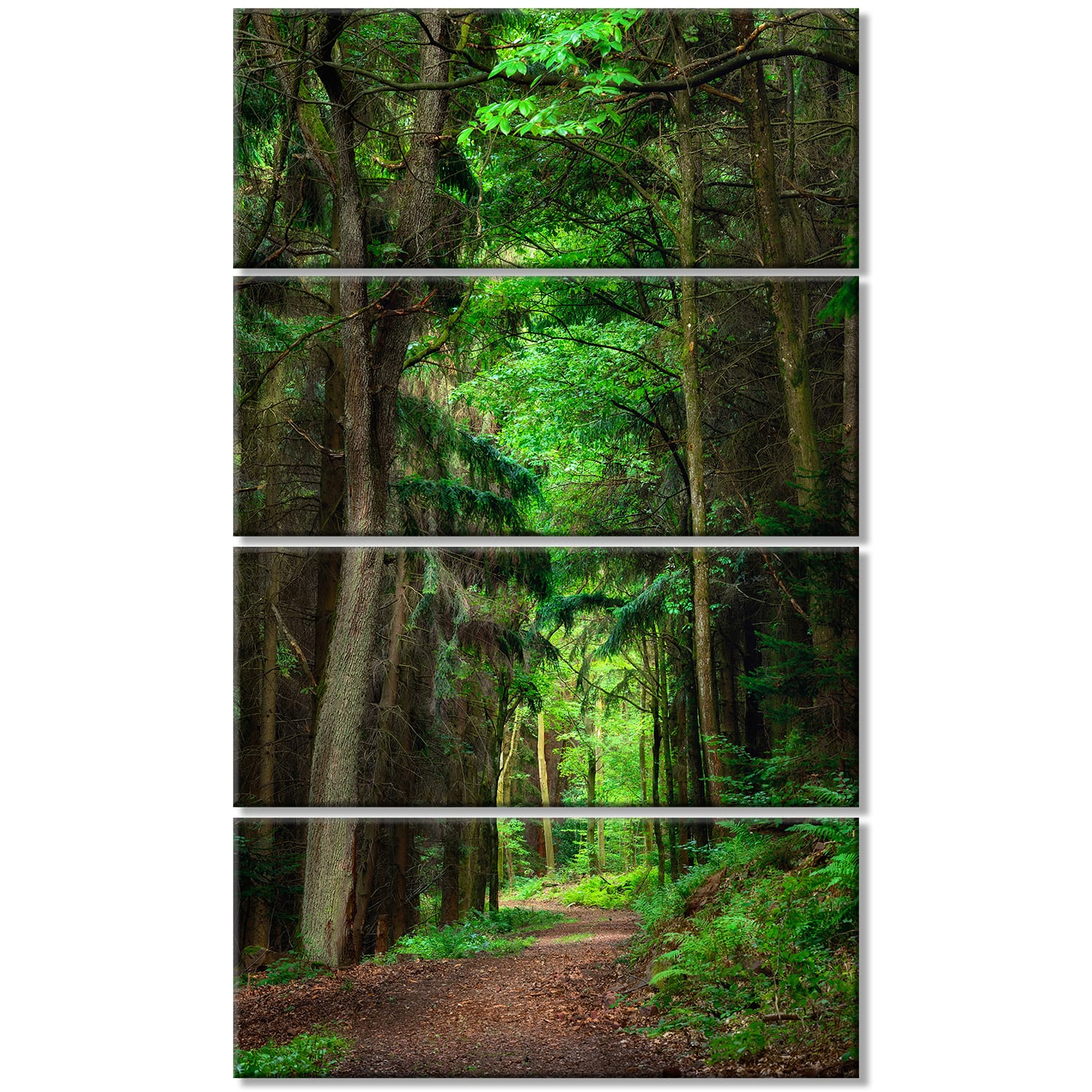 Designart - Dreamy Greenery in Dense Forest - Forest Canvas Art Print