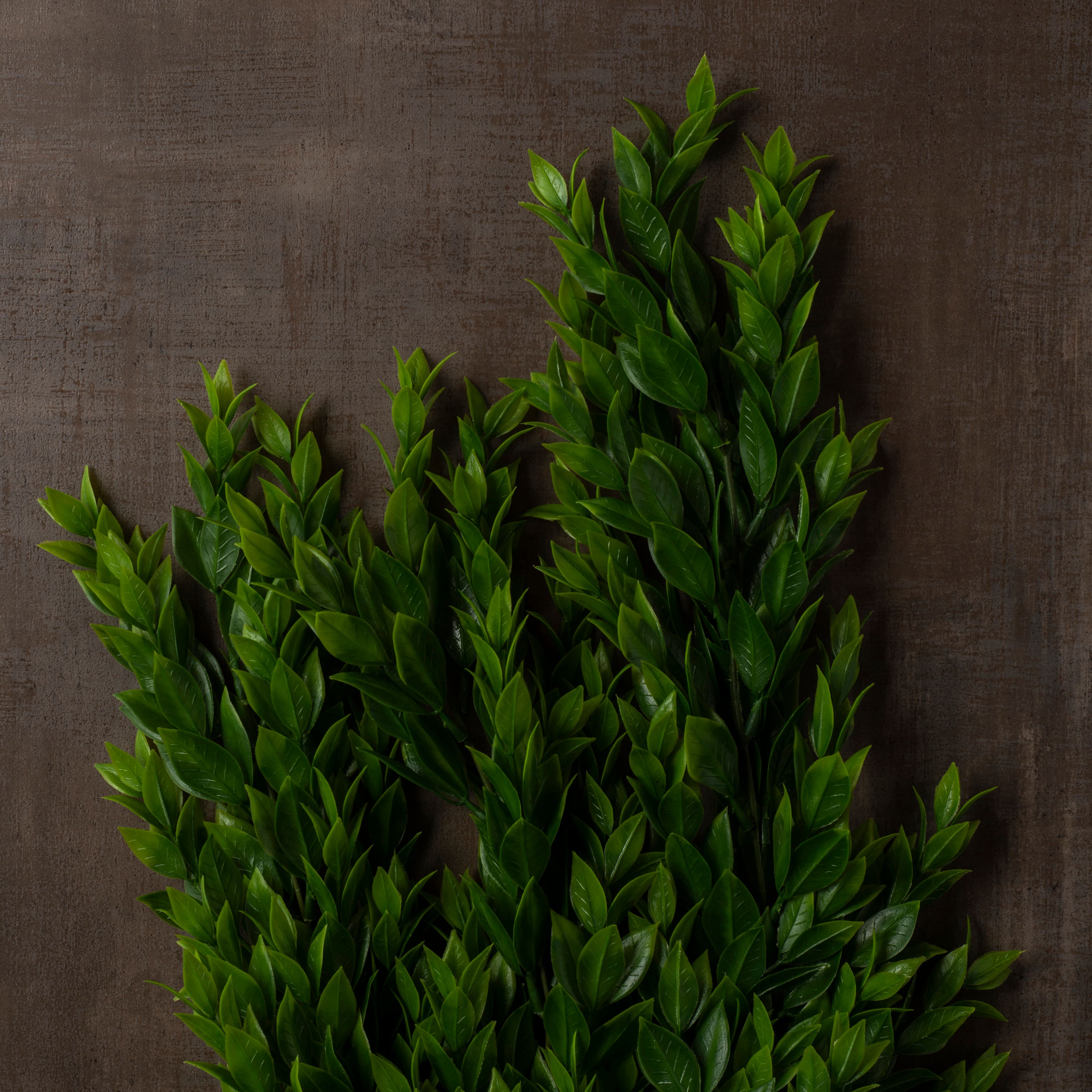 Hanging Ruscus Bush by Ashland®