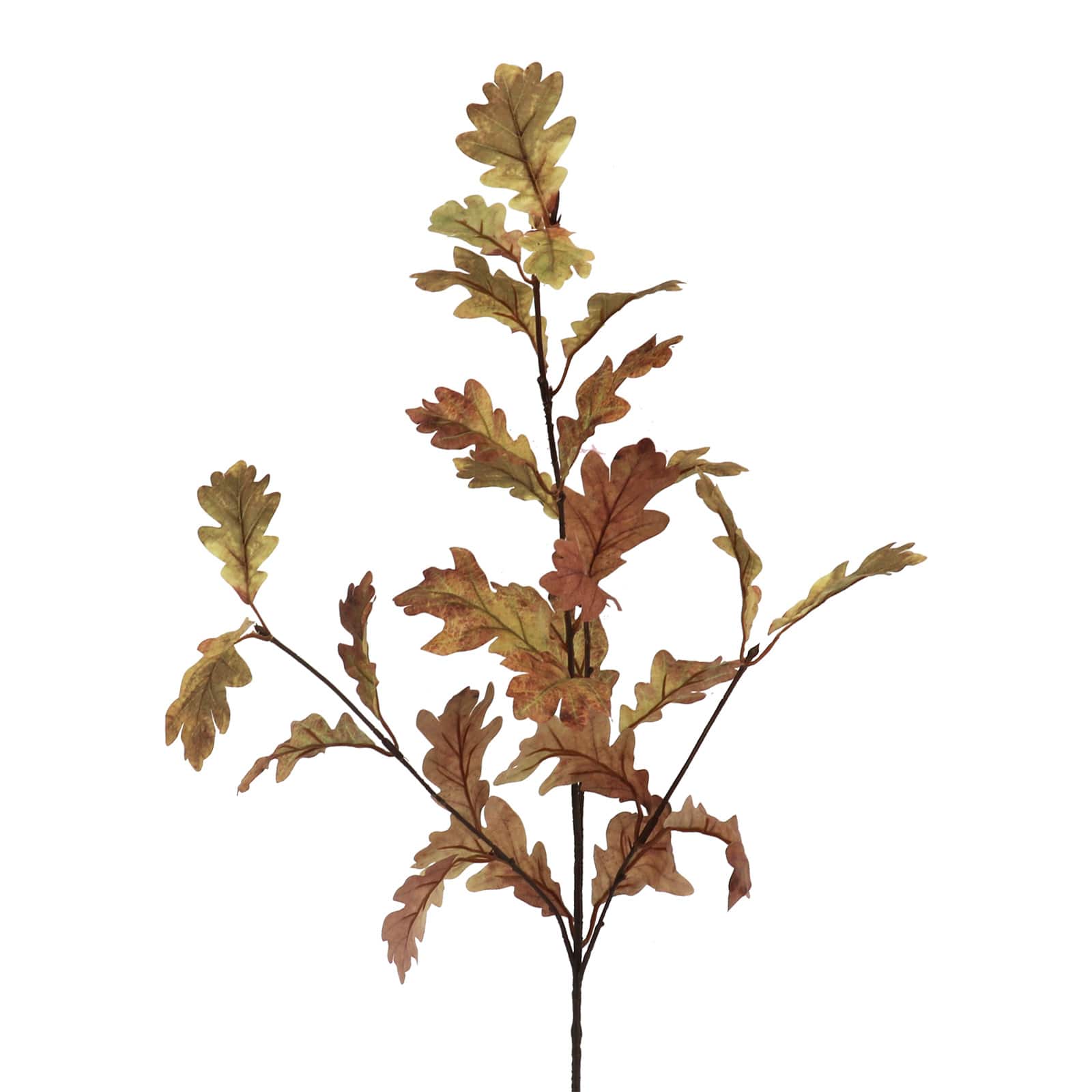 34" Brown Oak Leaf Stem by Ashland®