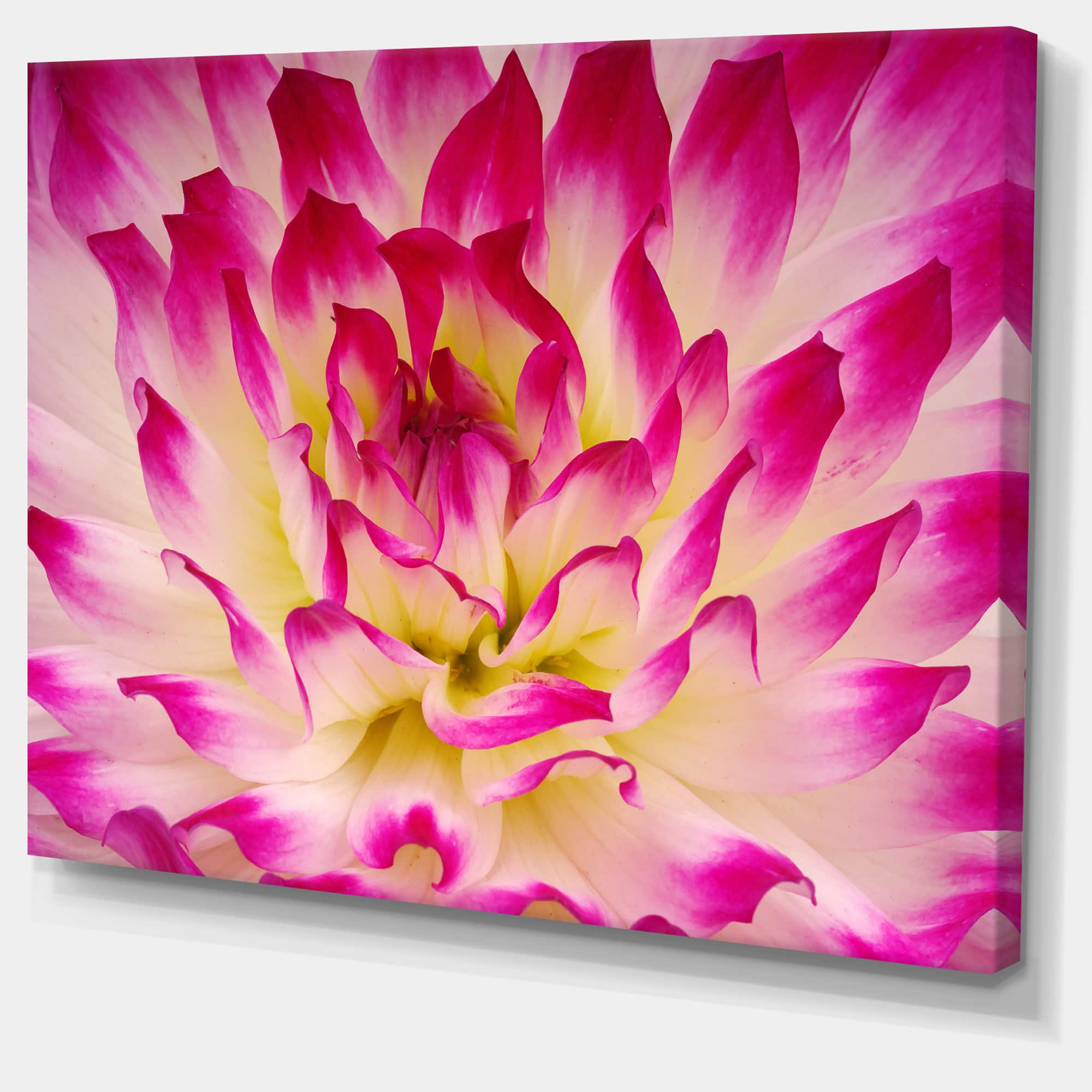 Designart - Smooth Purple White Flower Petals - Floral Canvas Art Print