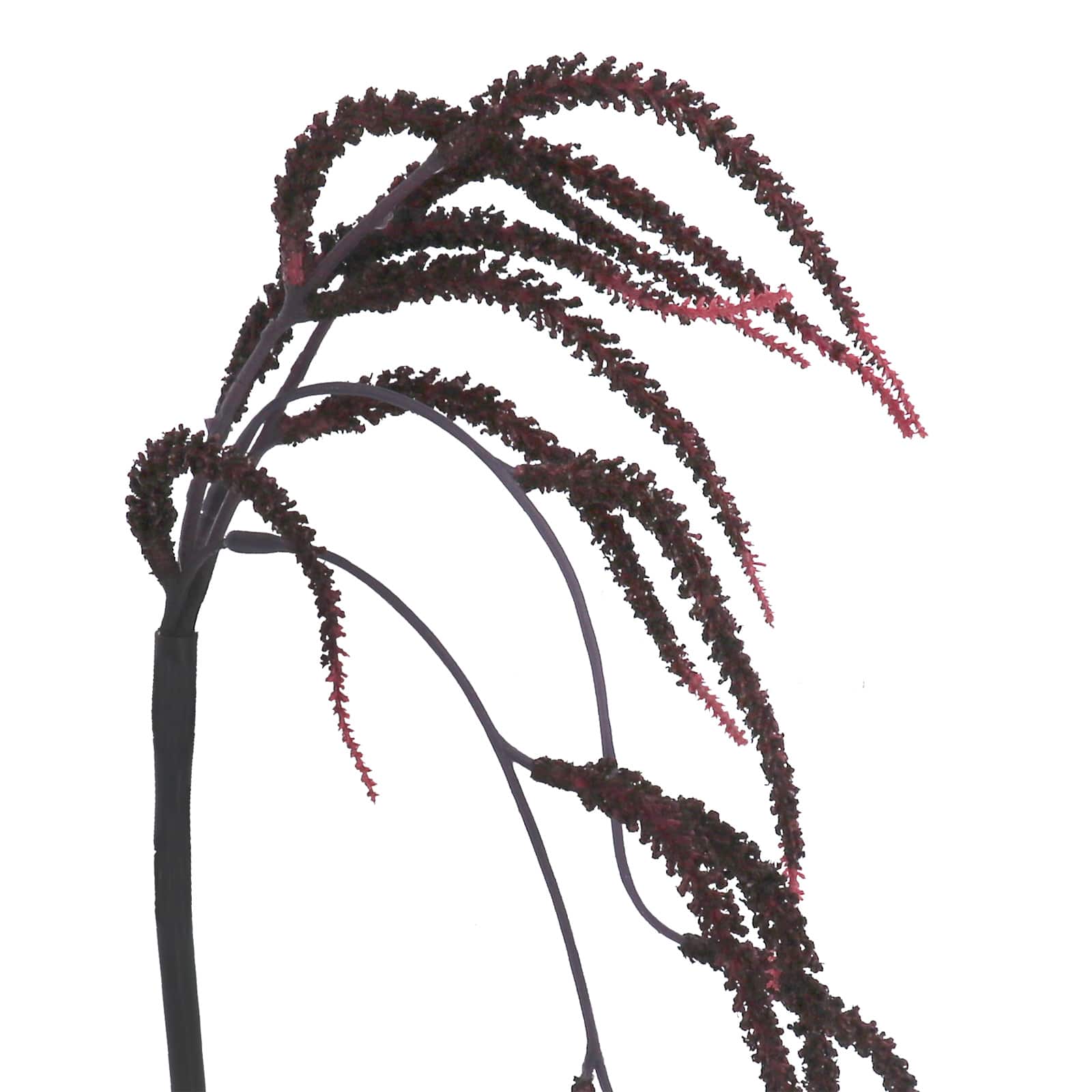 9.5" Burgundy Dripping Amaranth Pick by Ashland®