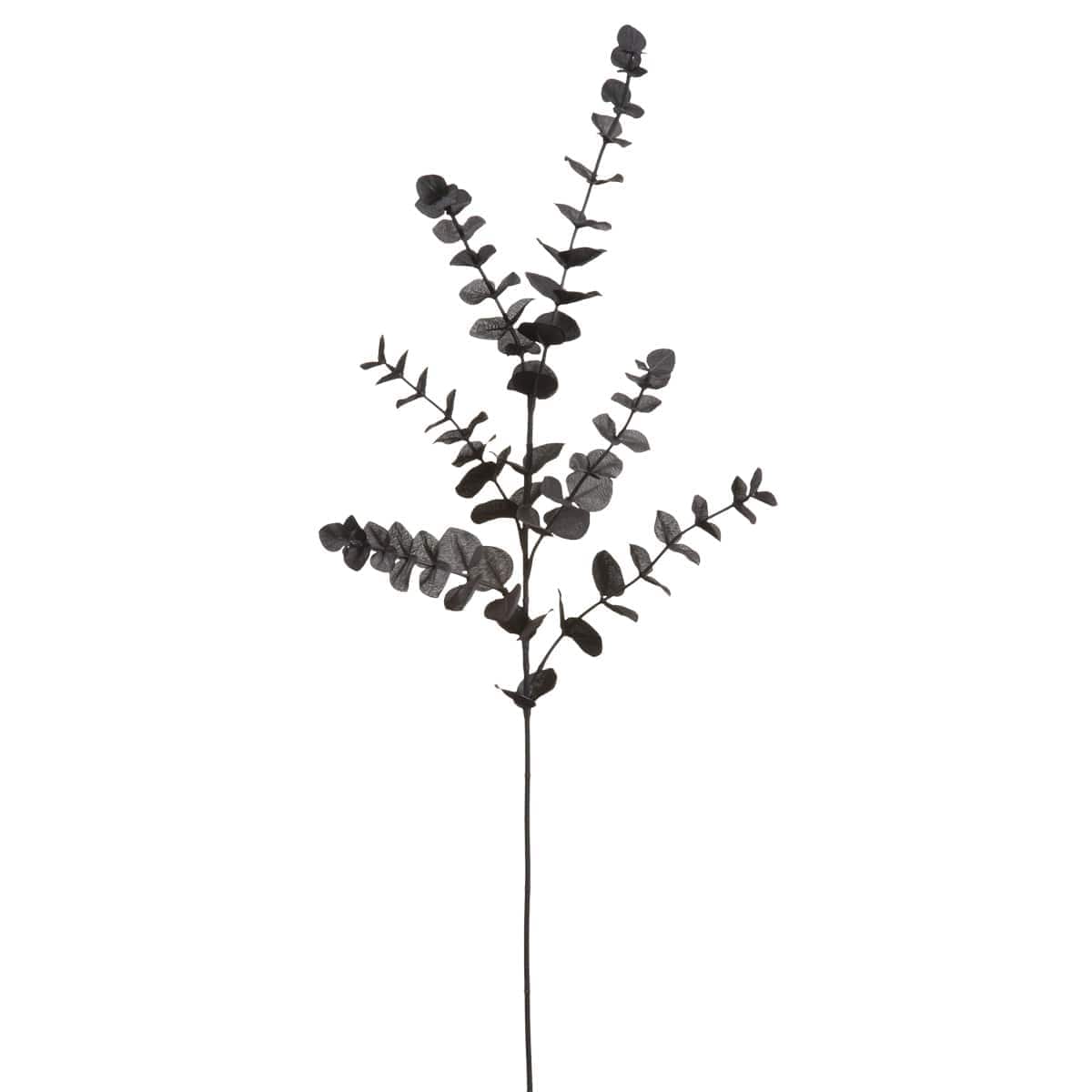 12 Pack: Black Eucalyptus Spray by Ashland®