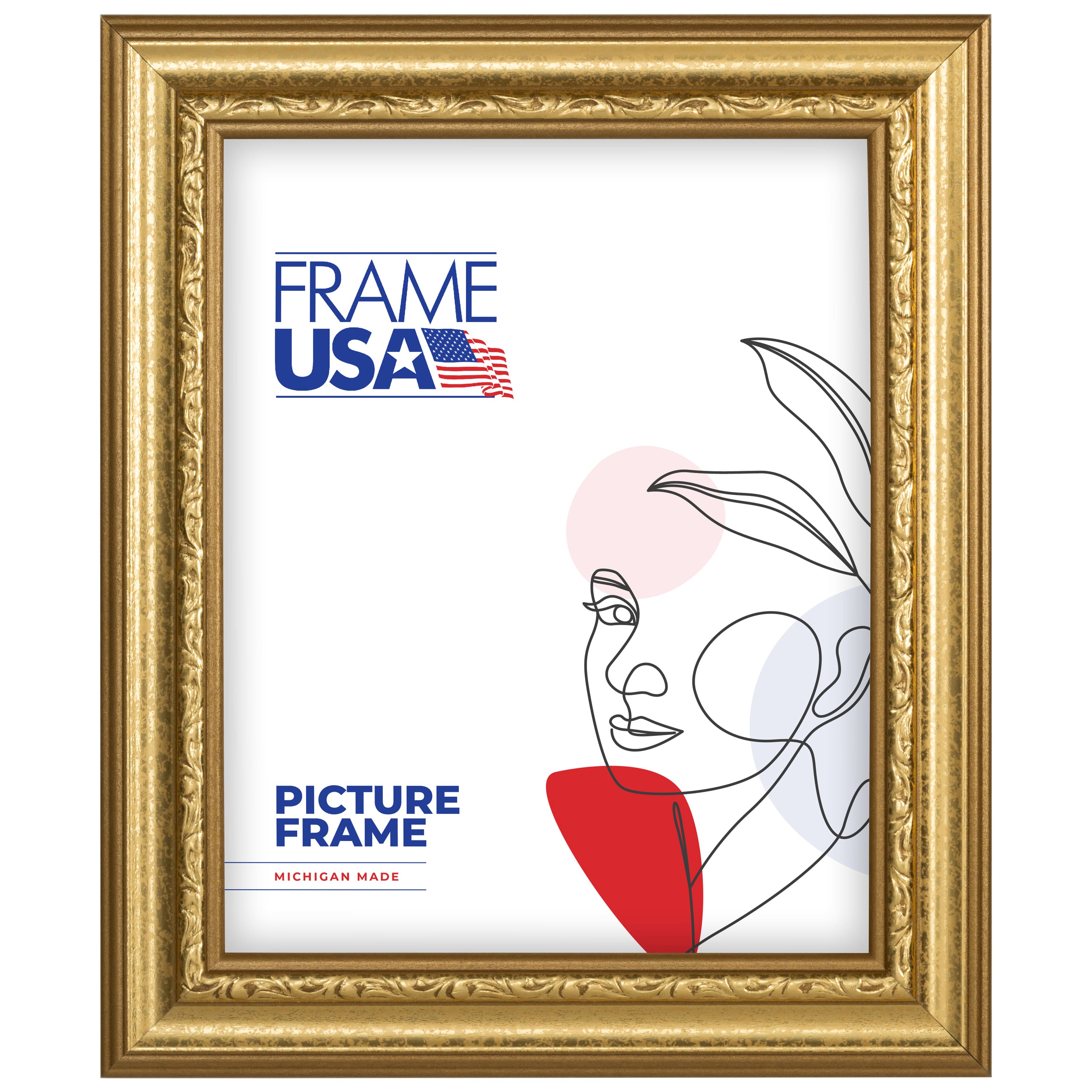 Frame USA American Value 795 Gold Single Image Picture Frame