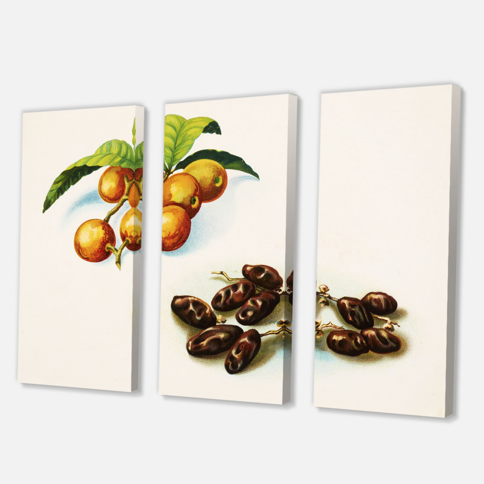 Designart - Vintage Fruits IV - Farmhouse Canvas Wall Art Print