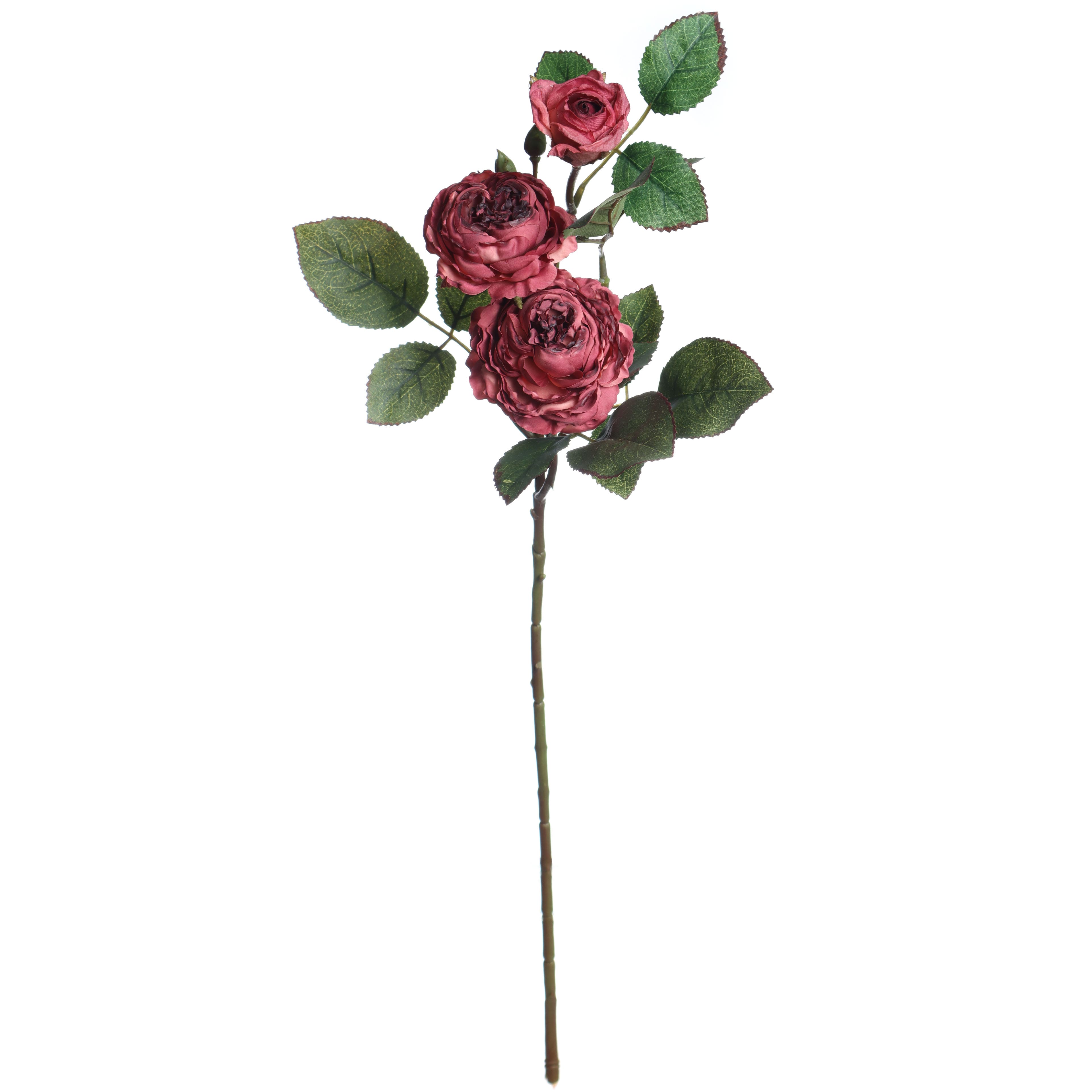 27" Burgundy Ranunculus Stem by Ashland®