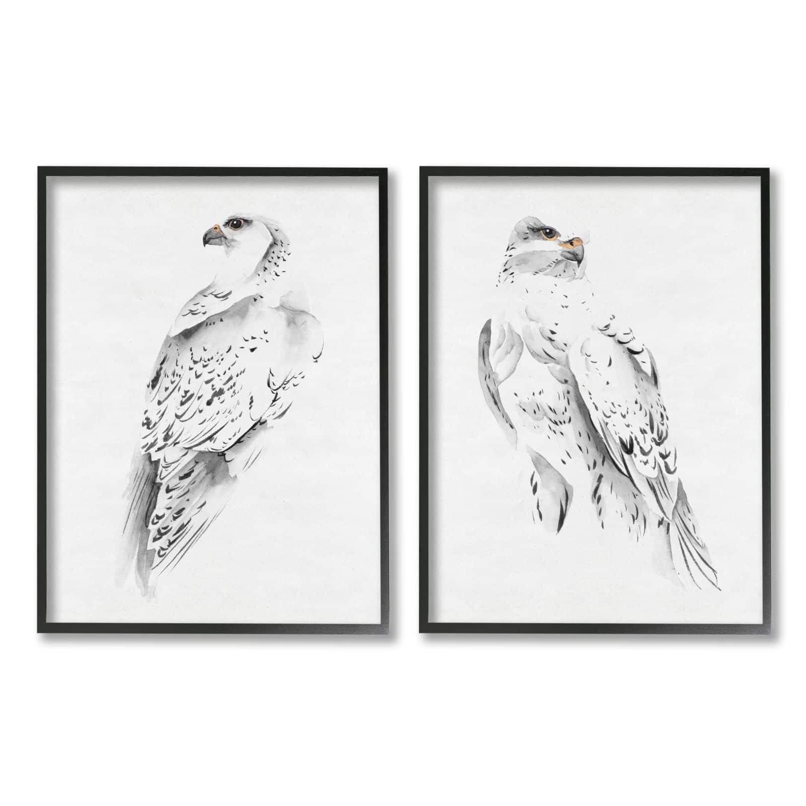 Stupell Industries White Hawk Winter Birds Soft Speckled Feathers Framed Wall Art