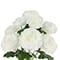 19" Ranunculus Bush by Ashland®