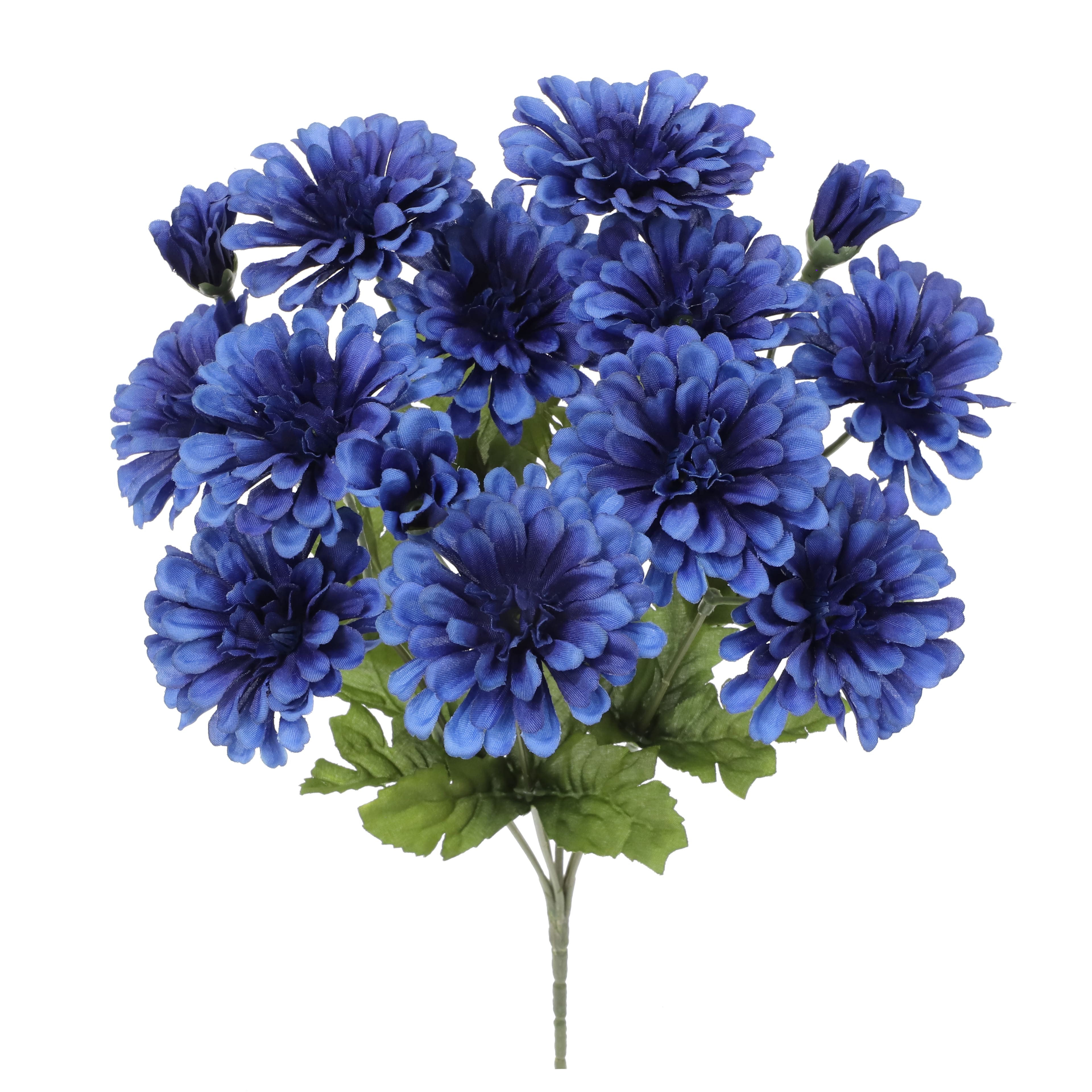 14" Blue Zinnia Bush from Ashland®