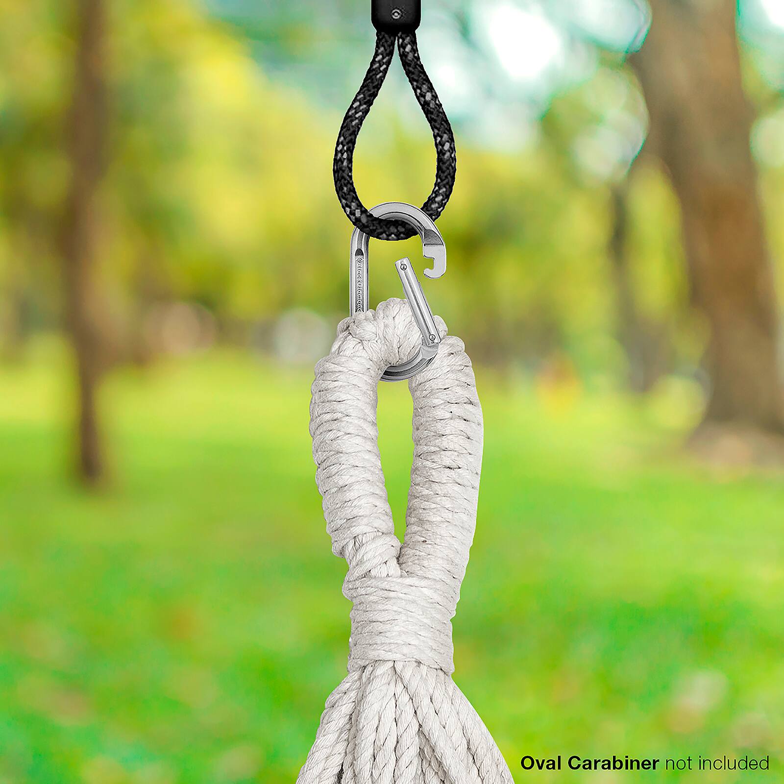 Sorbus Hanging Saucer Swing Nest