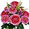 19.5" Ranunculus & Scabiosa Bush by Ashland®