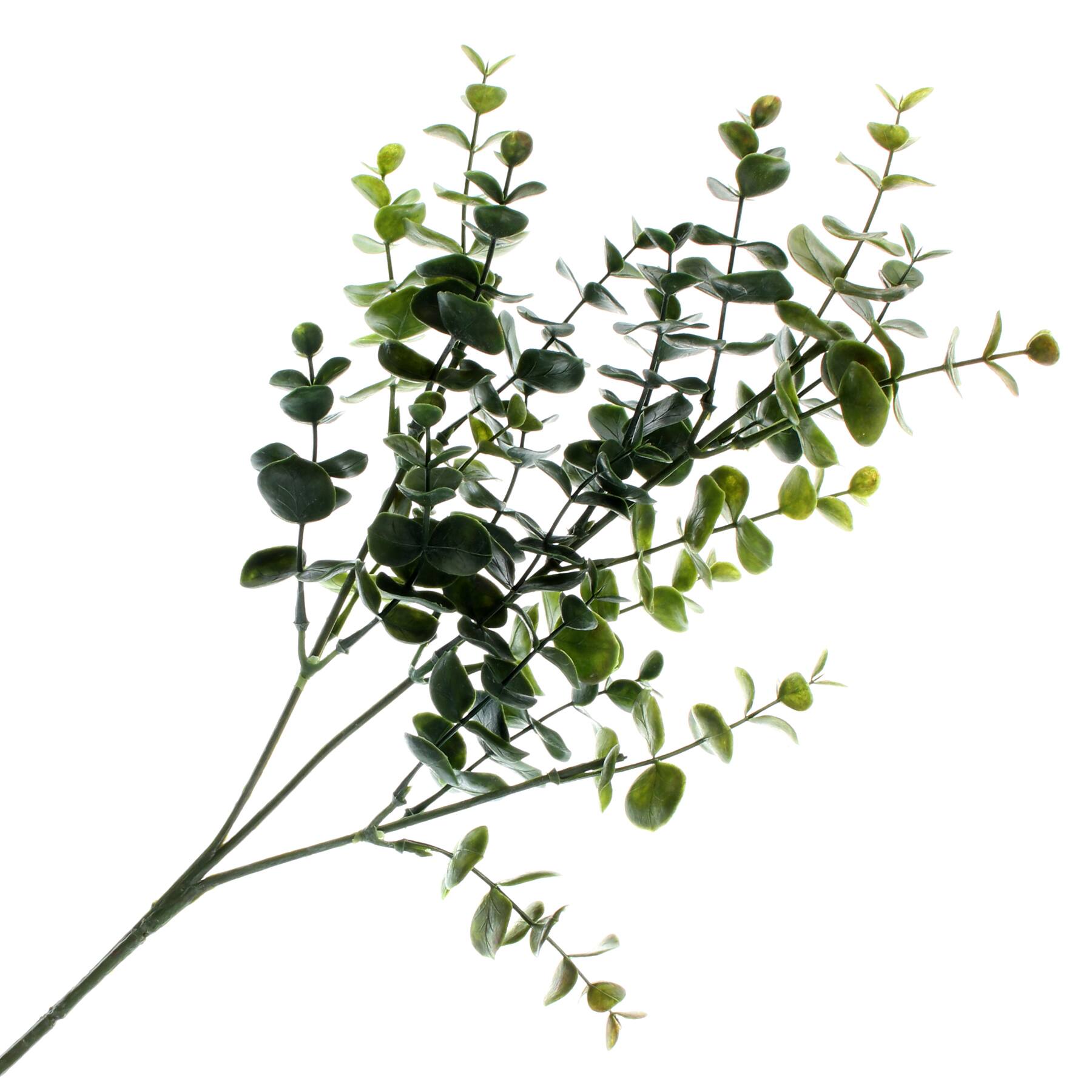 12 Pack: Green Eucalyptus Stem by Ashland®