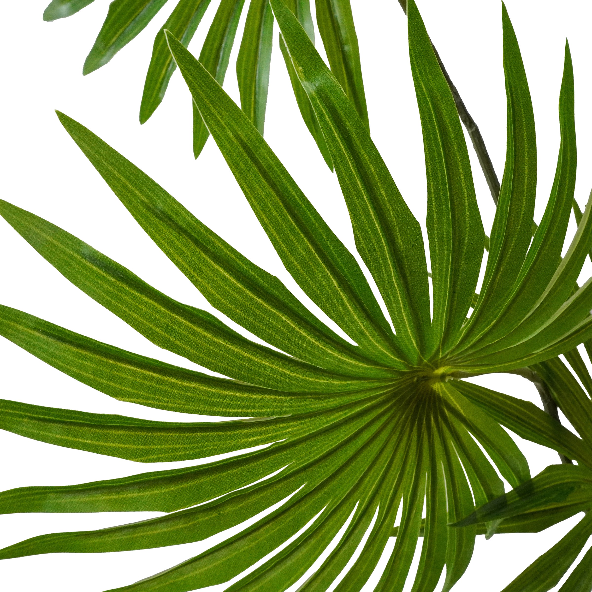6ft. Fountain Palm Garland by Ashland®