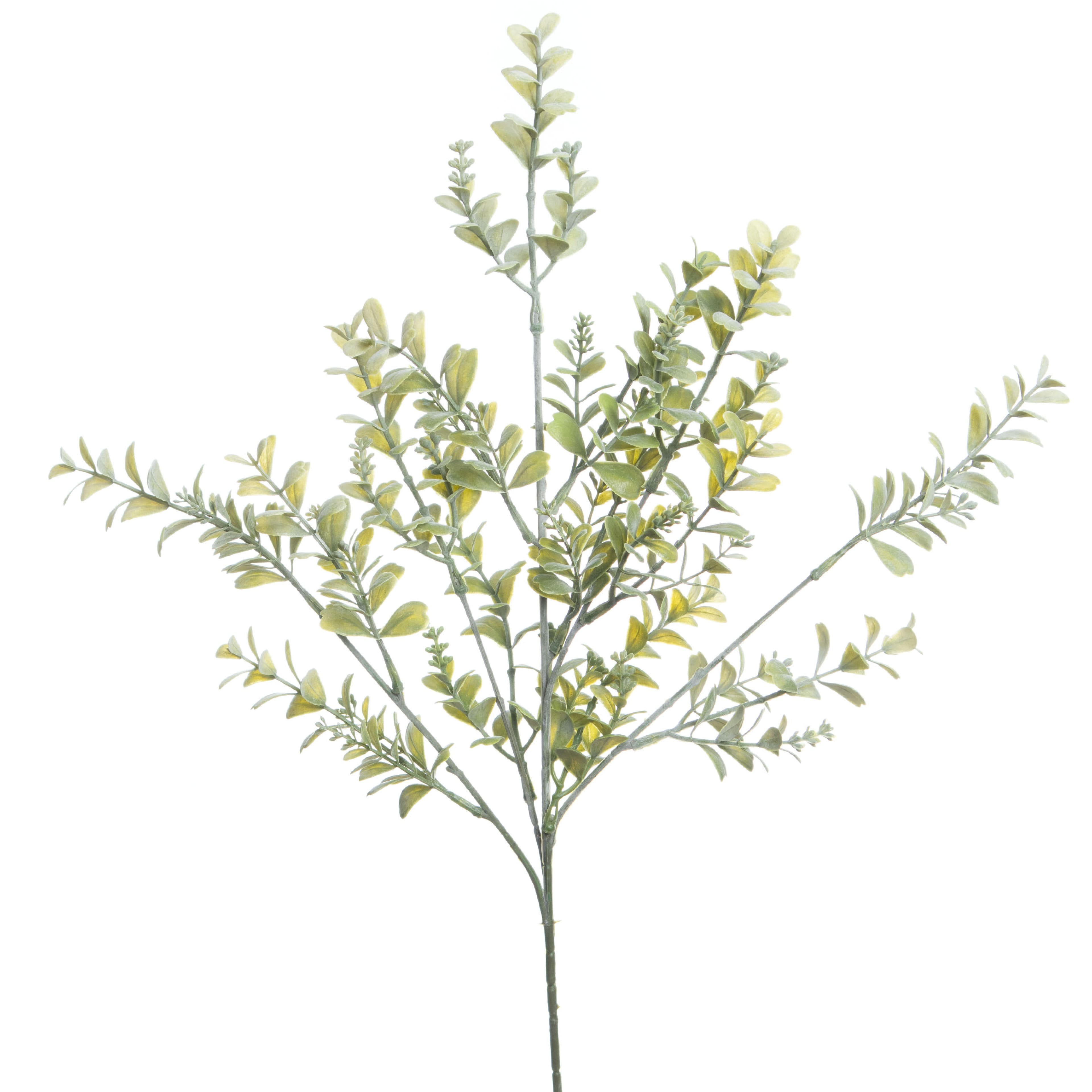27" Light Green Boxwood Stem by Ashland®