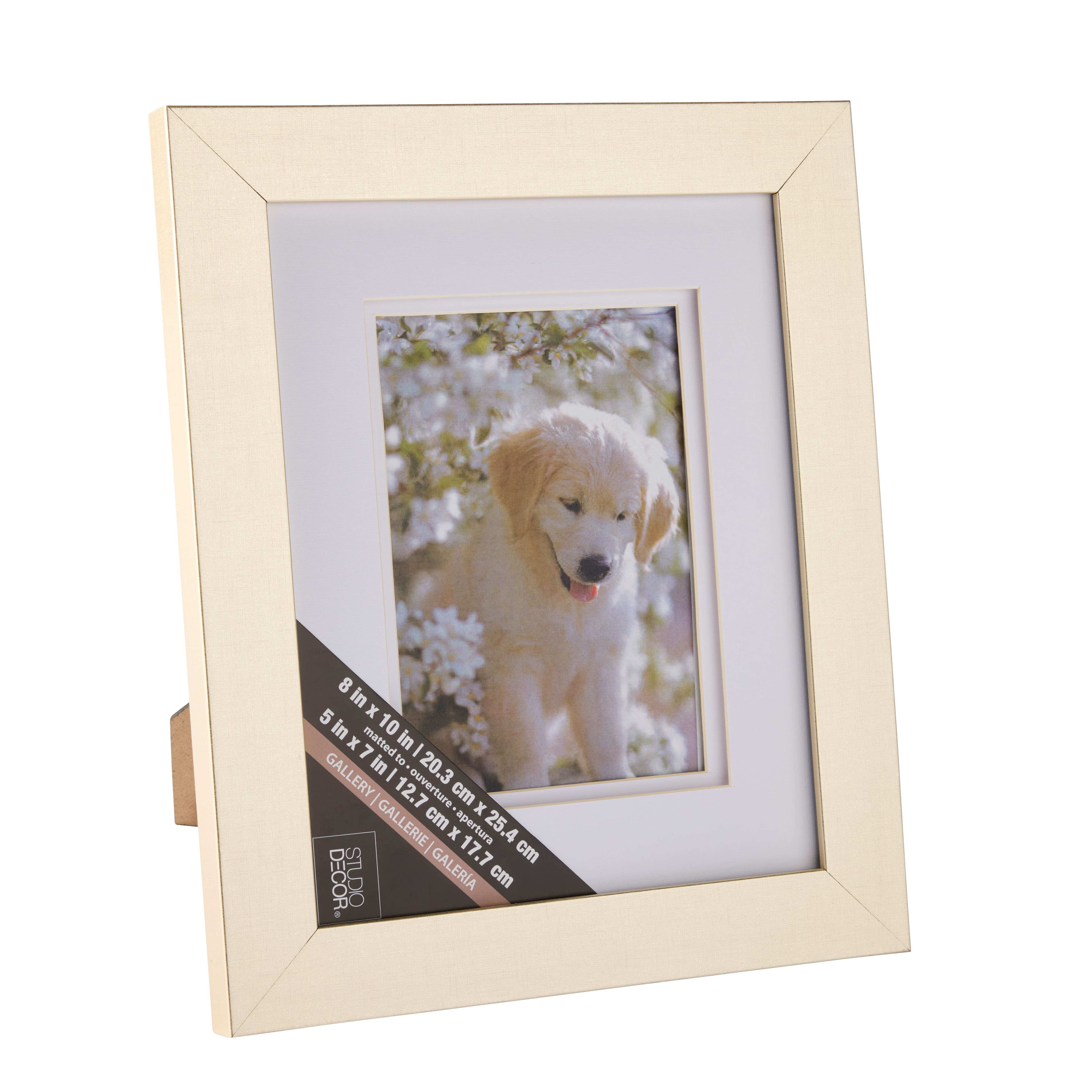 Gallery Champagne Frame with Double Mat by Studio Décor
