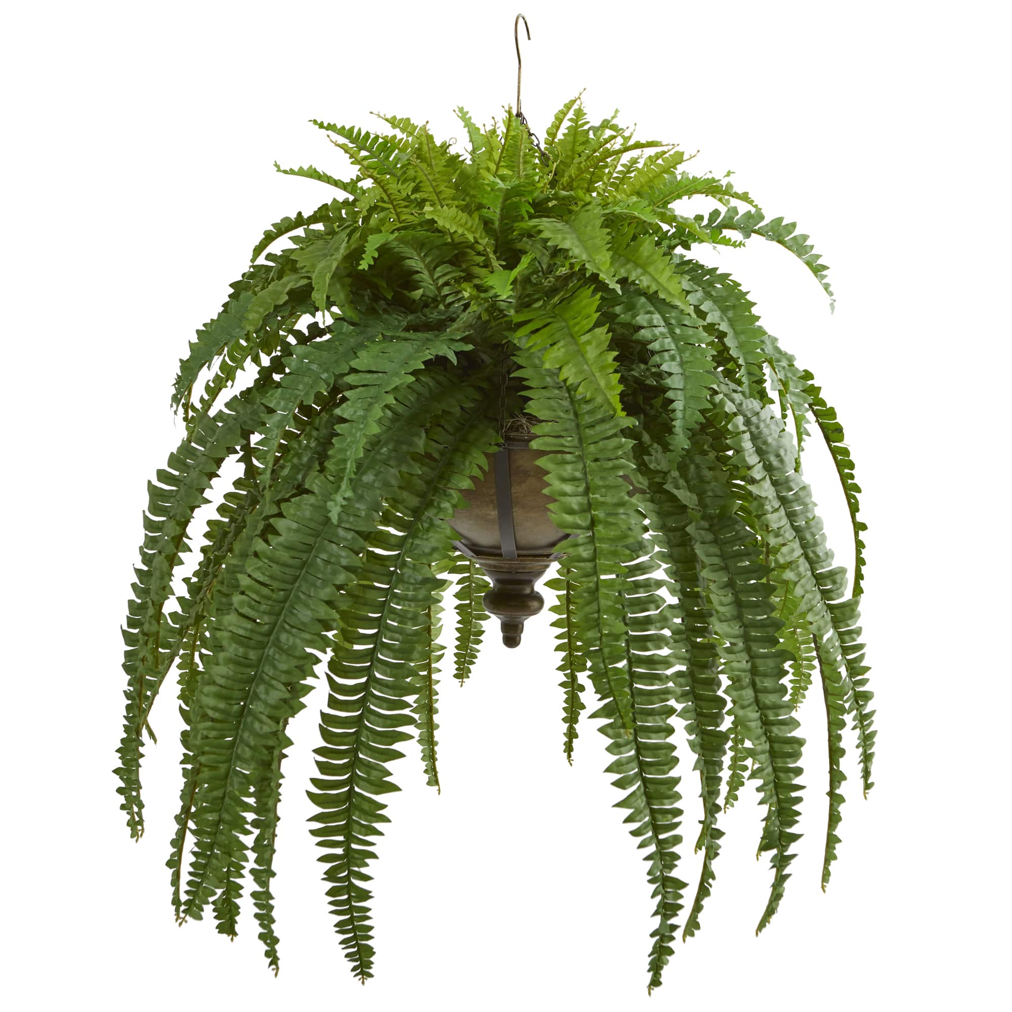 3ft. Boston Fern Plant in Metal Hanging Bowl