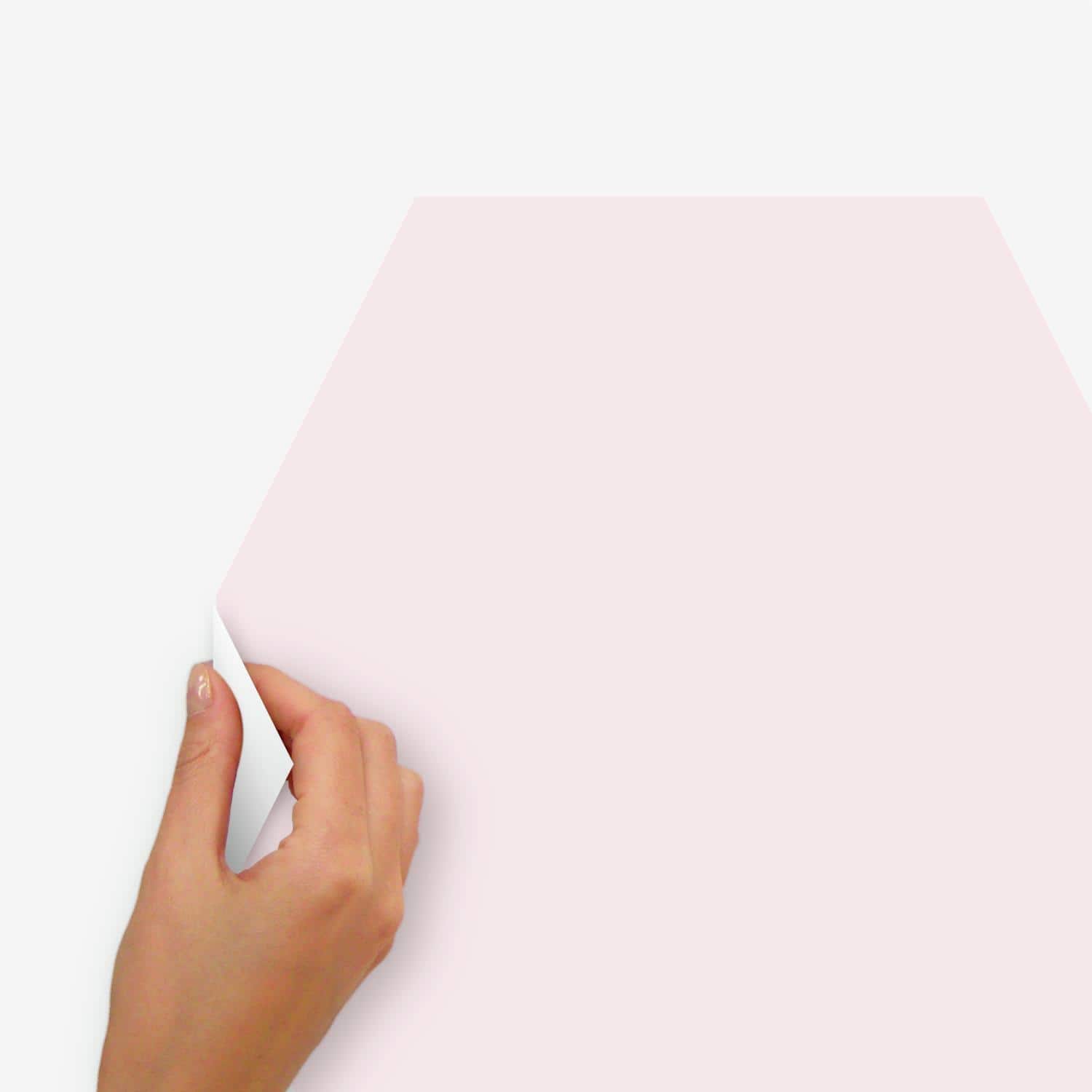 RoomMates Blush Beauty Dry Erase Hexagon Peel & Stick Decals