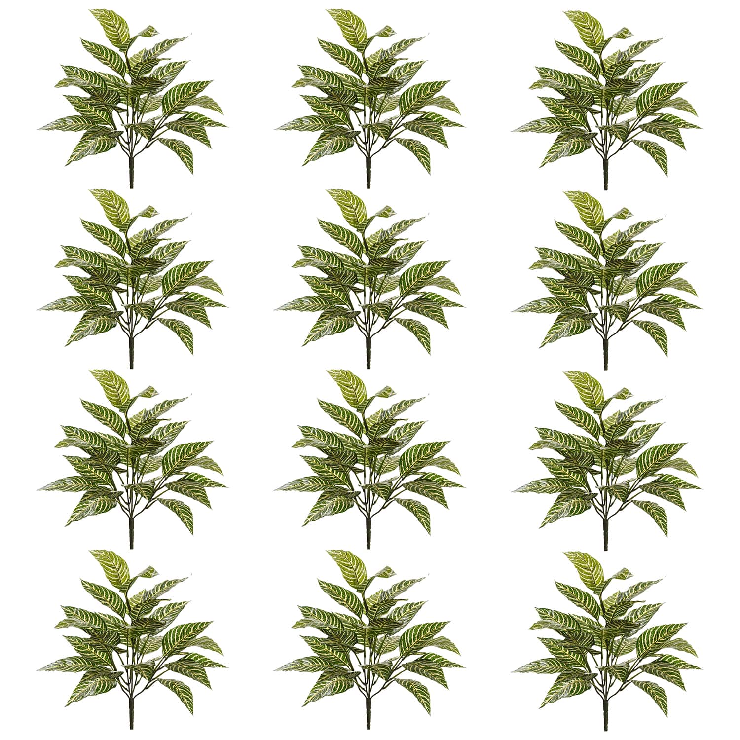 12 Pack: Green Zebra Bush by Ashland®