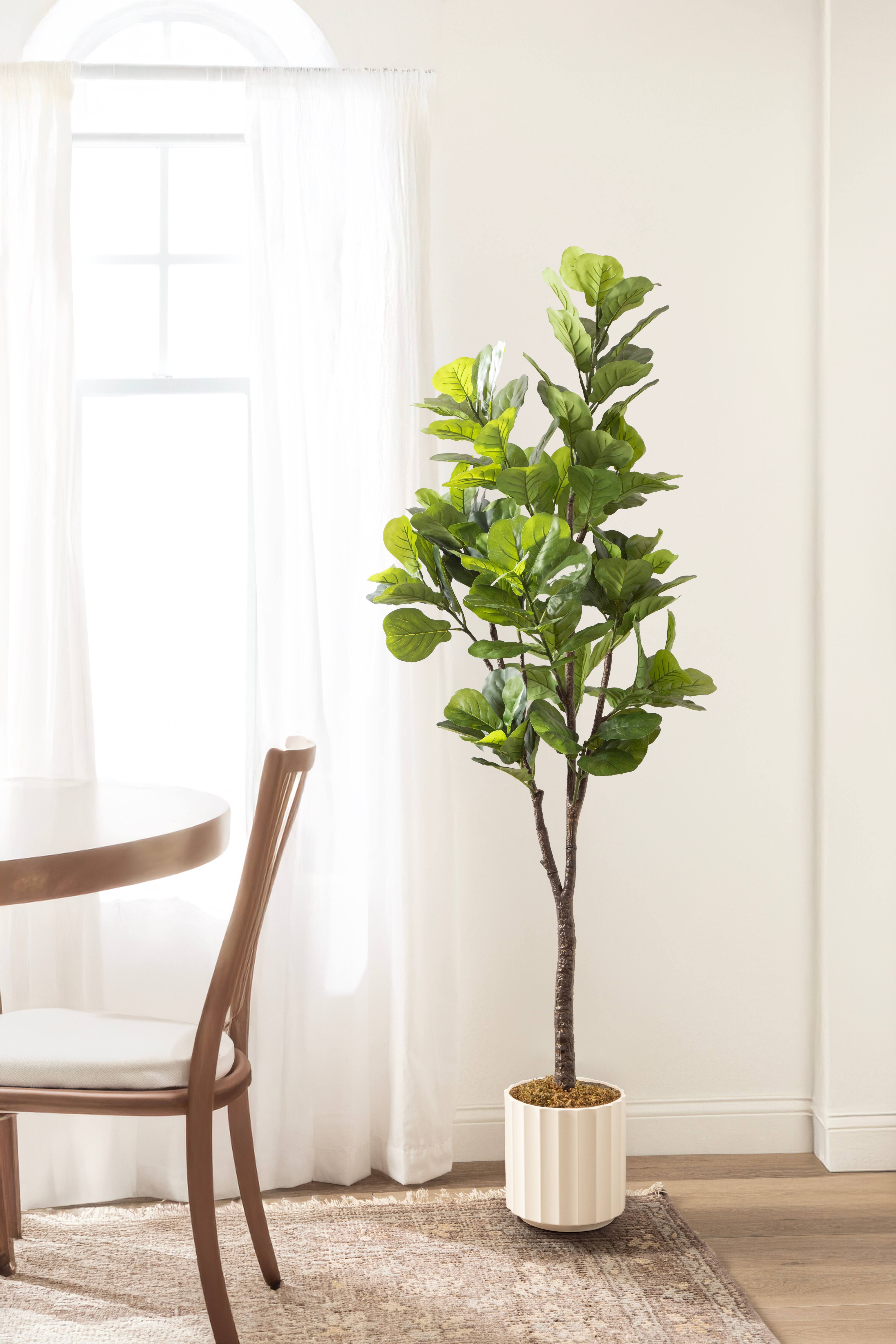 Kate and Laurel 6ft. Fidmont Faux Fiddle Fig Tree with White Planter