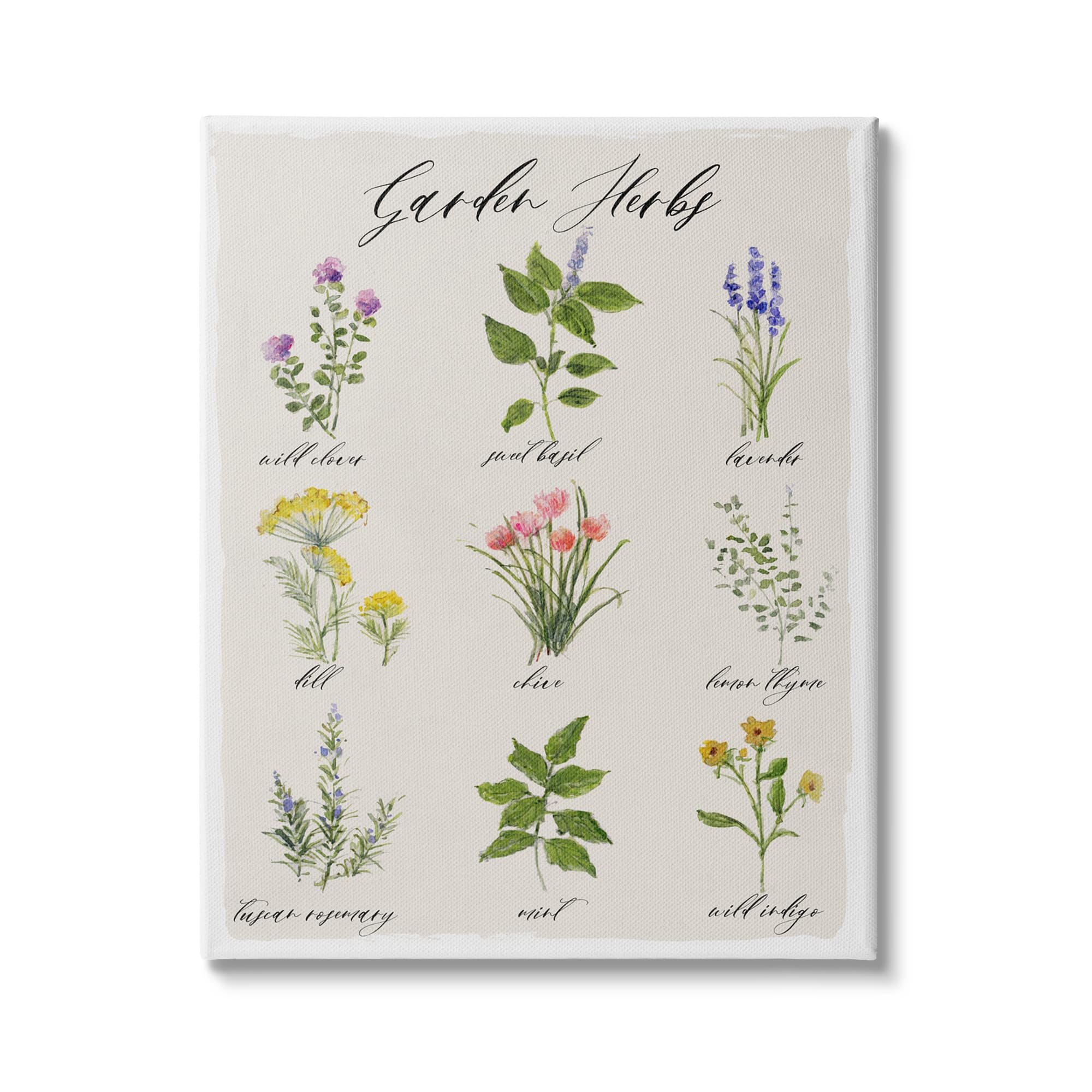 Stupell Industries Garden Herb Illustrated Chart Natural Kitchen Seasoning Canvas Wall Art