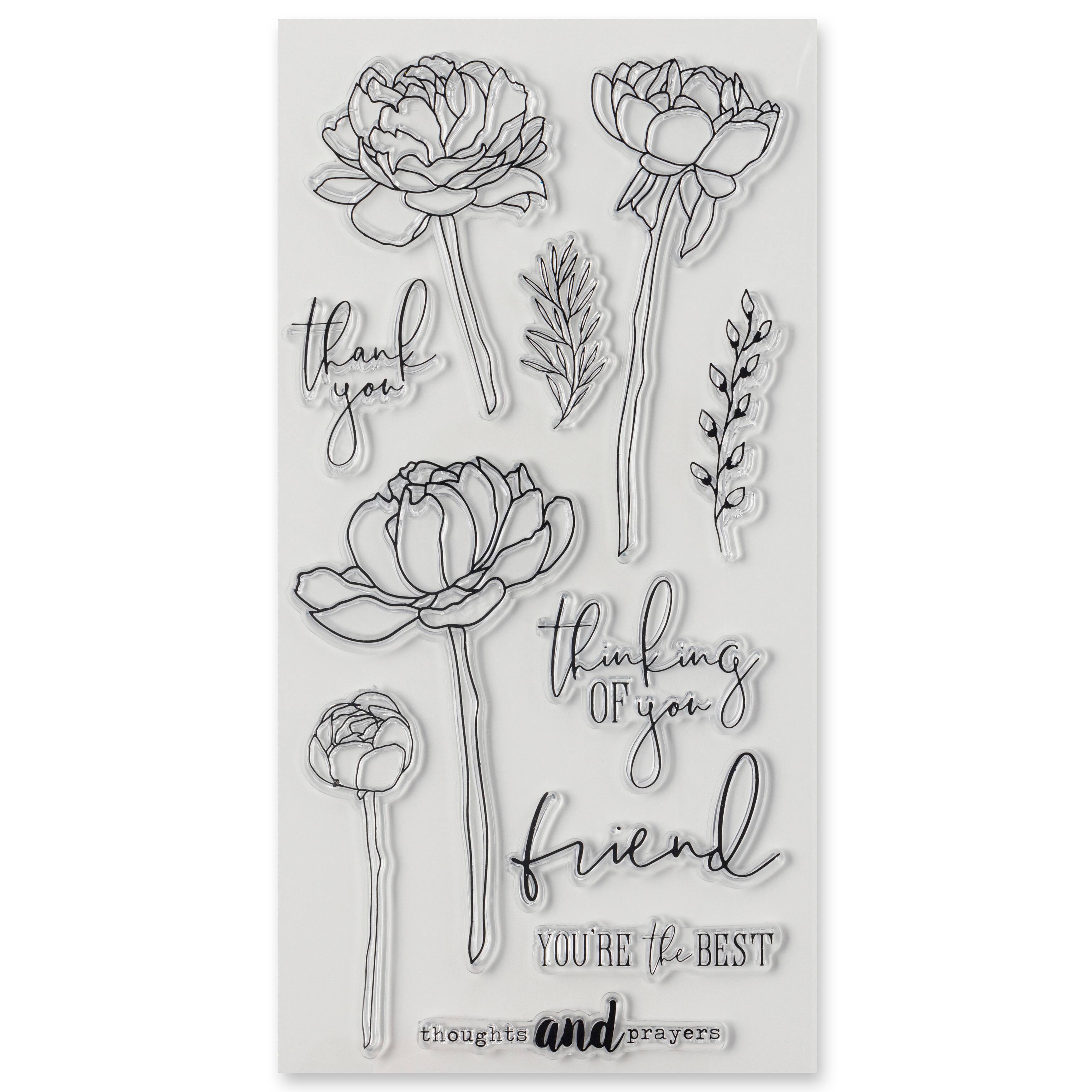 6 Pack: Peony Sentiment Clear Stamp Set by Recollections™