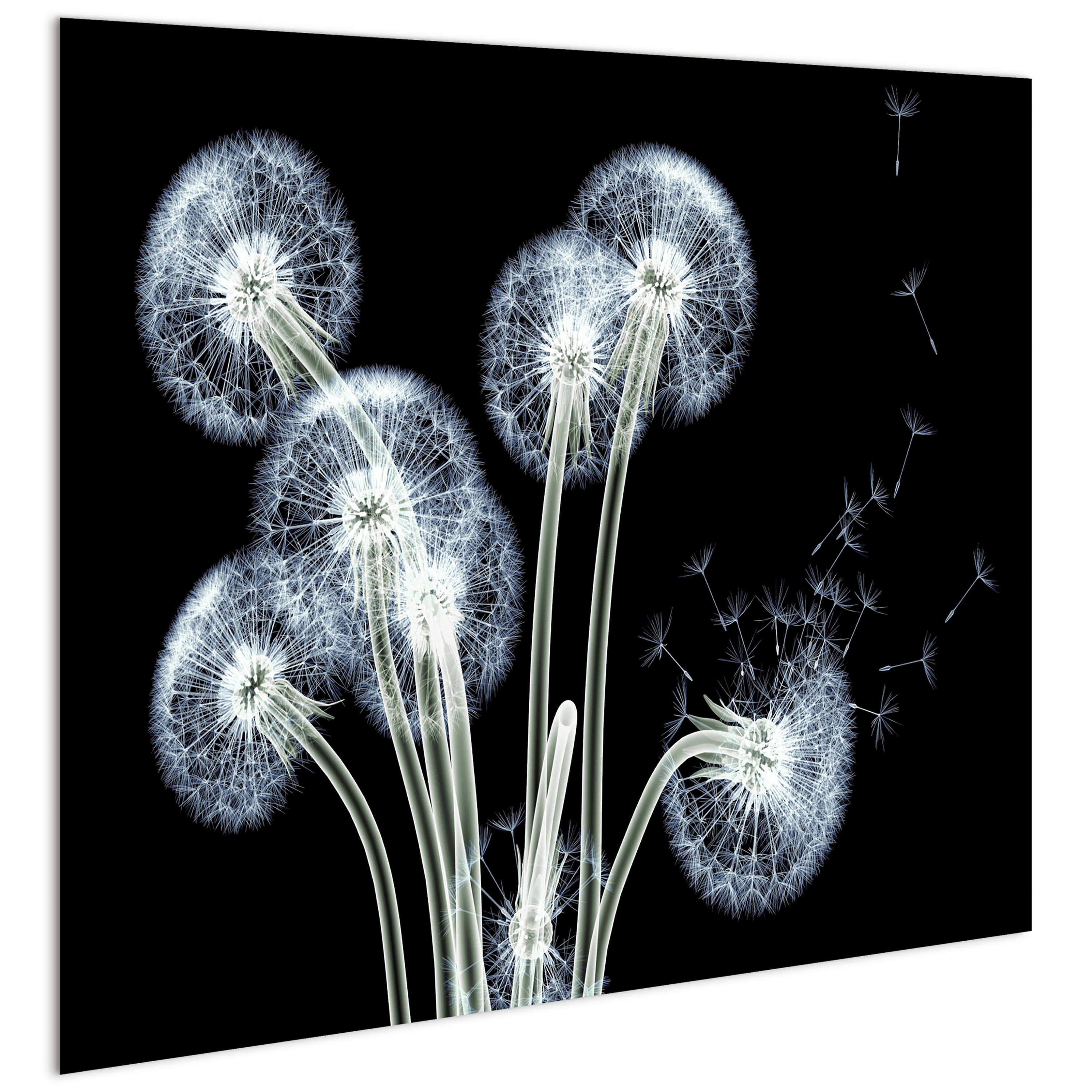 Empire Art Direct 48" x 38" 3D Dancing Dandelions Frameless Free Floating Printed Tempered Glass Wall Art