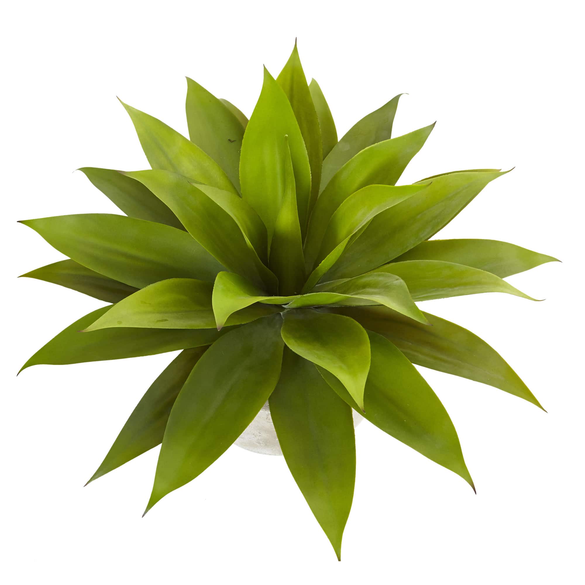 24" Agave Plant in Sand Planter