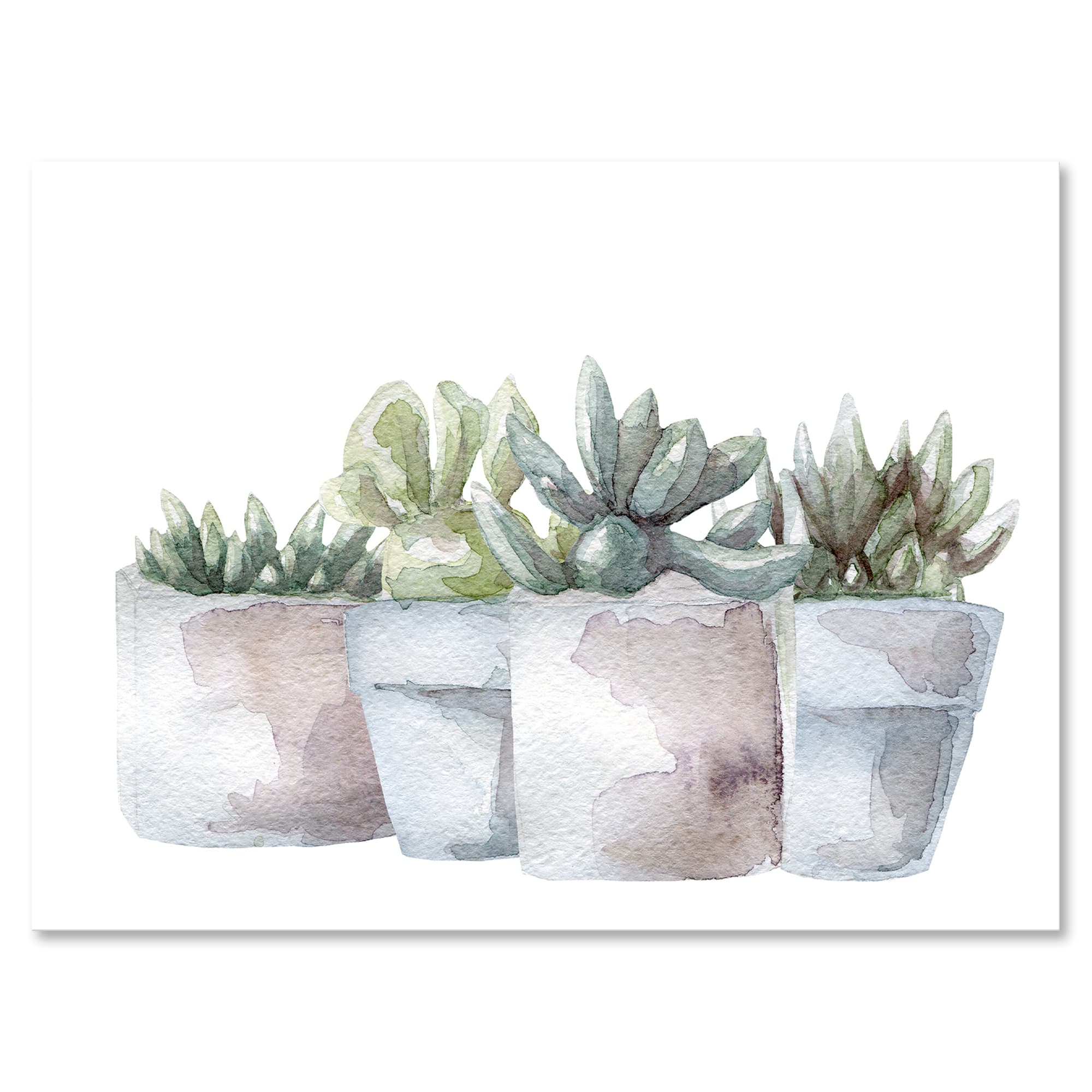 Designart - Cactus and Succulent House Plants III - Farmhouse Canvas Wall Art Print