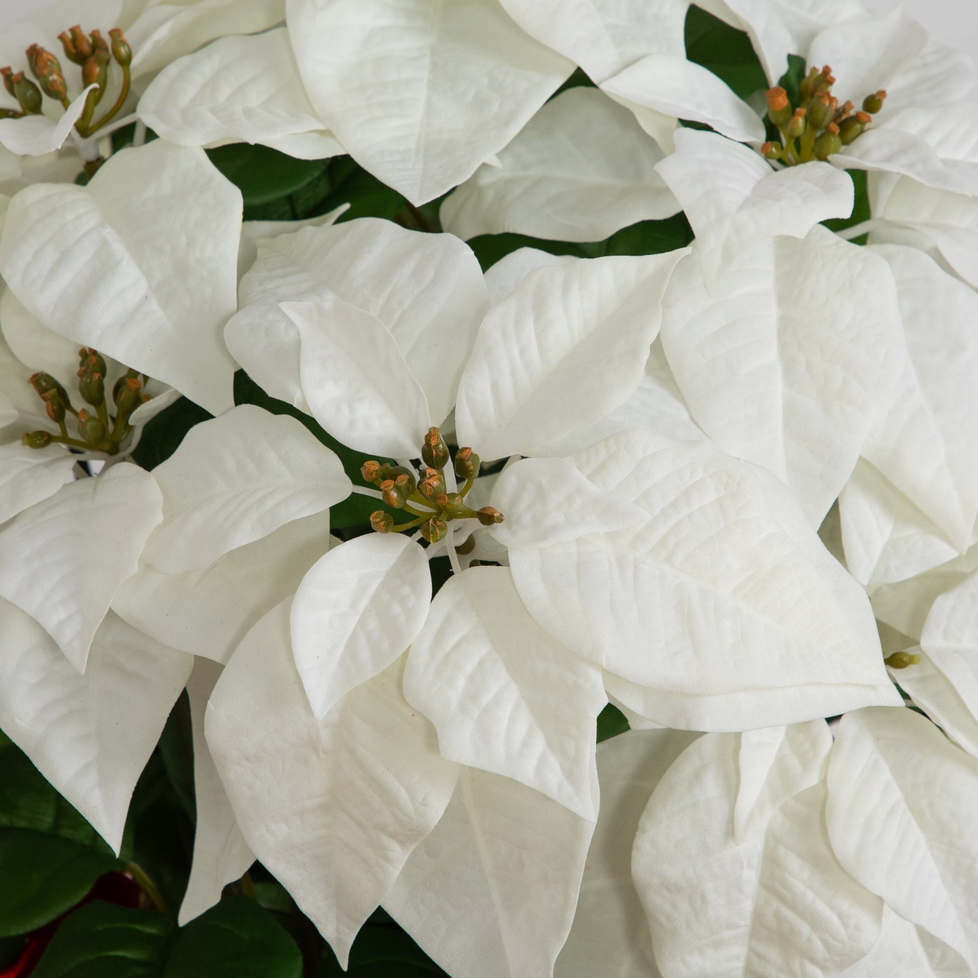 Nearly Natural 30" White Artificial Grand Velvet Poinsettia Arrangement in Red Wrapped Planter