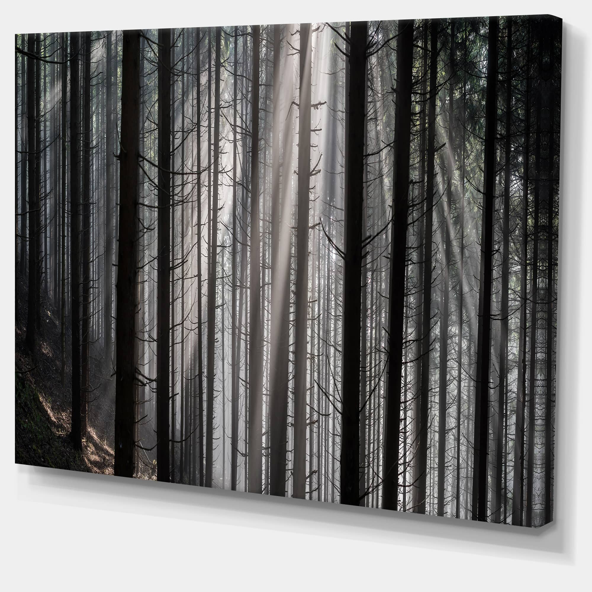 Designart - Sunbeams Peeking Through Dark Forest