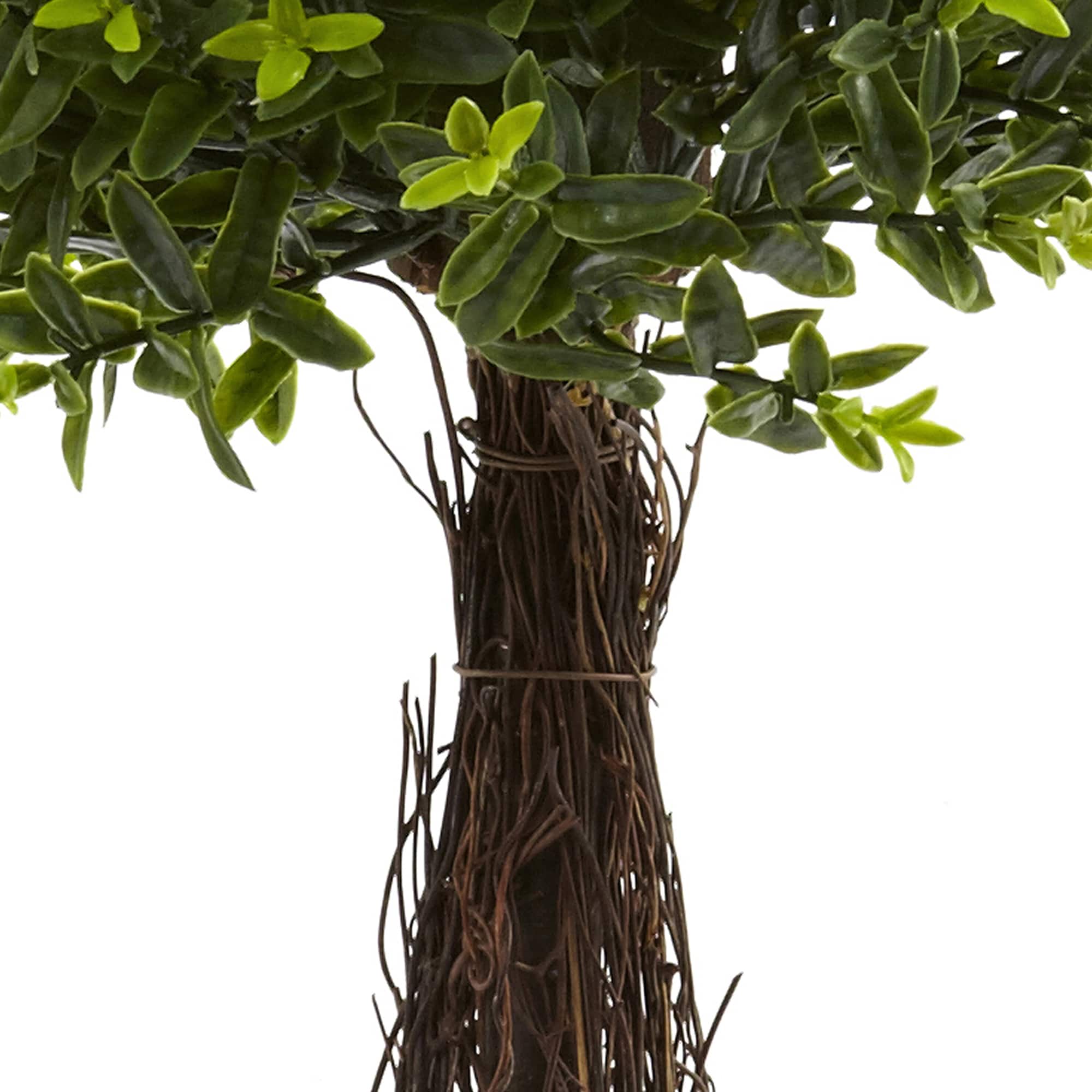 3ft. Potted Ixora Topiary