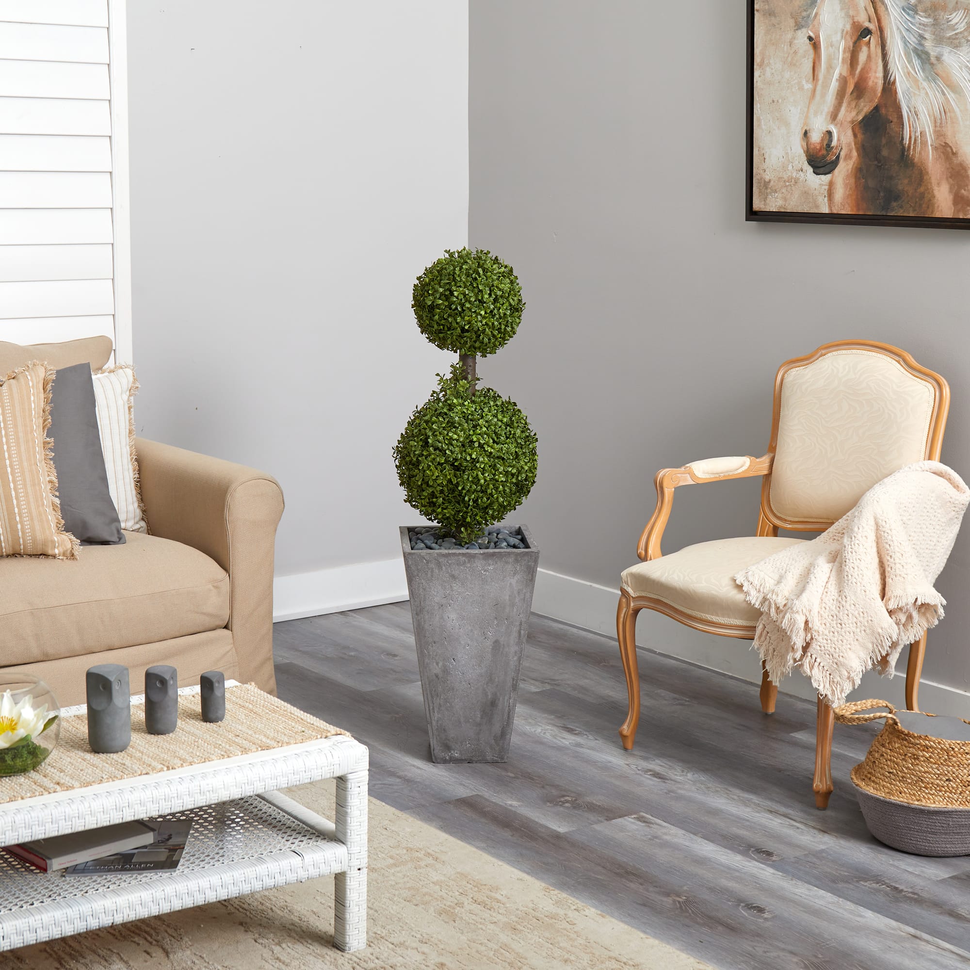 4ft. Double Boxwood Topiary Tree in Cement Planter