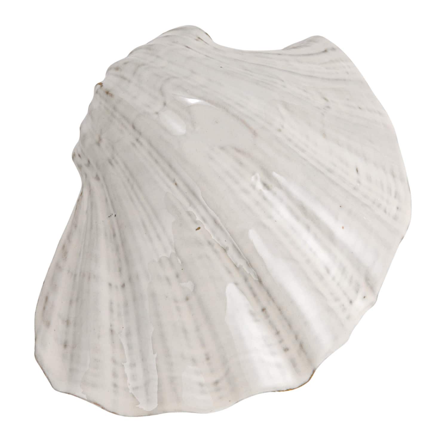 Hello Honey® 8" White Reactive Crackle Glaze Stoneware Shell Plates, 4ct.