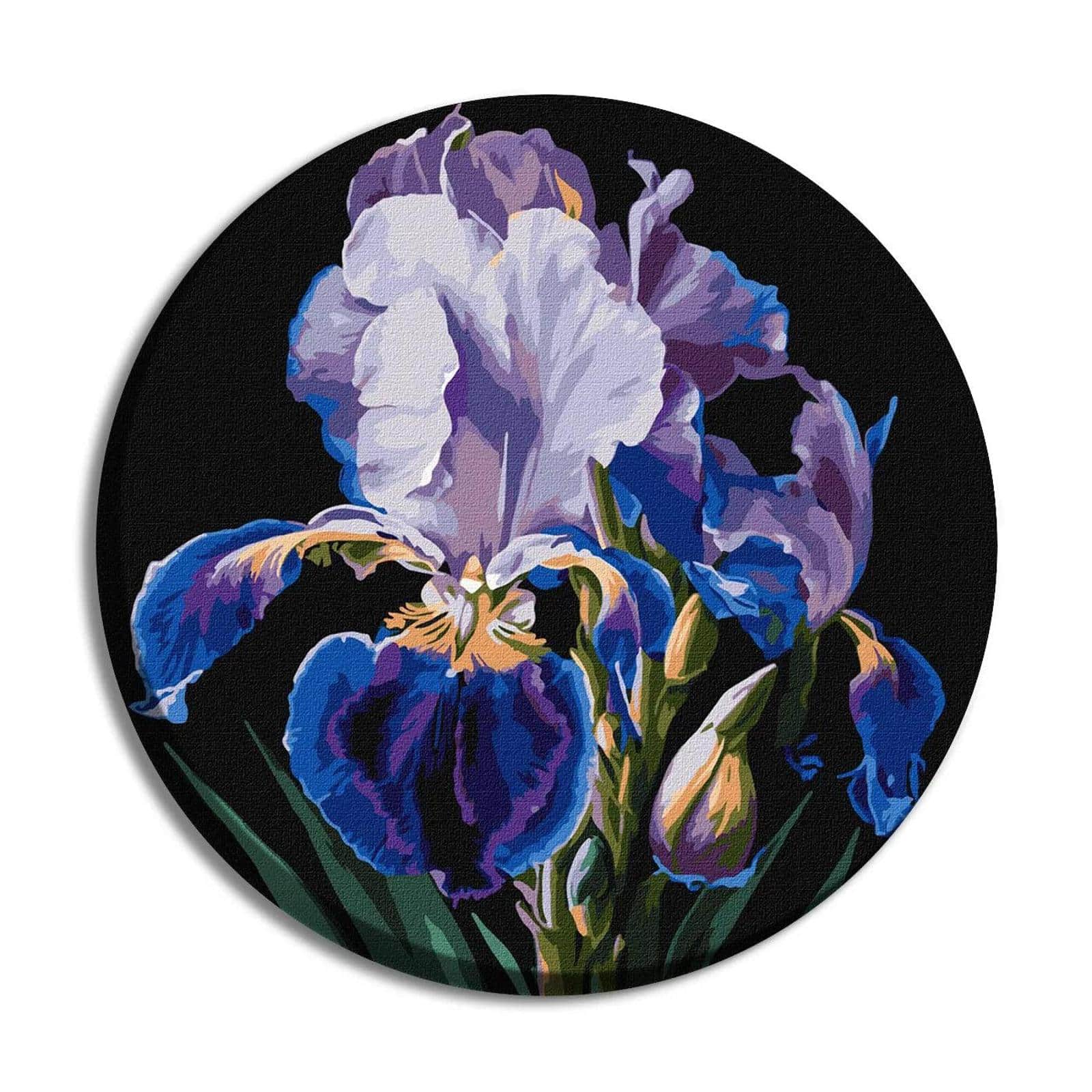Ideyka Delicate Irises Painting by Numbers Kit