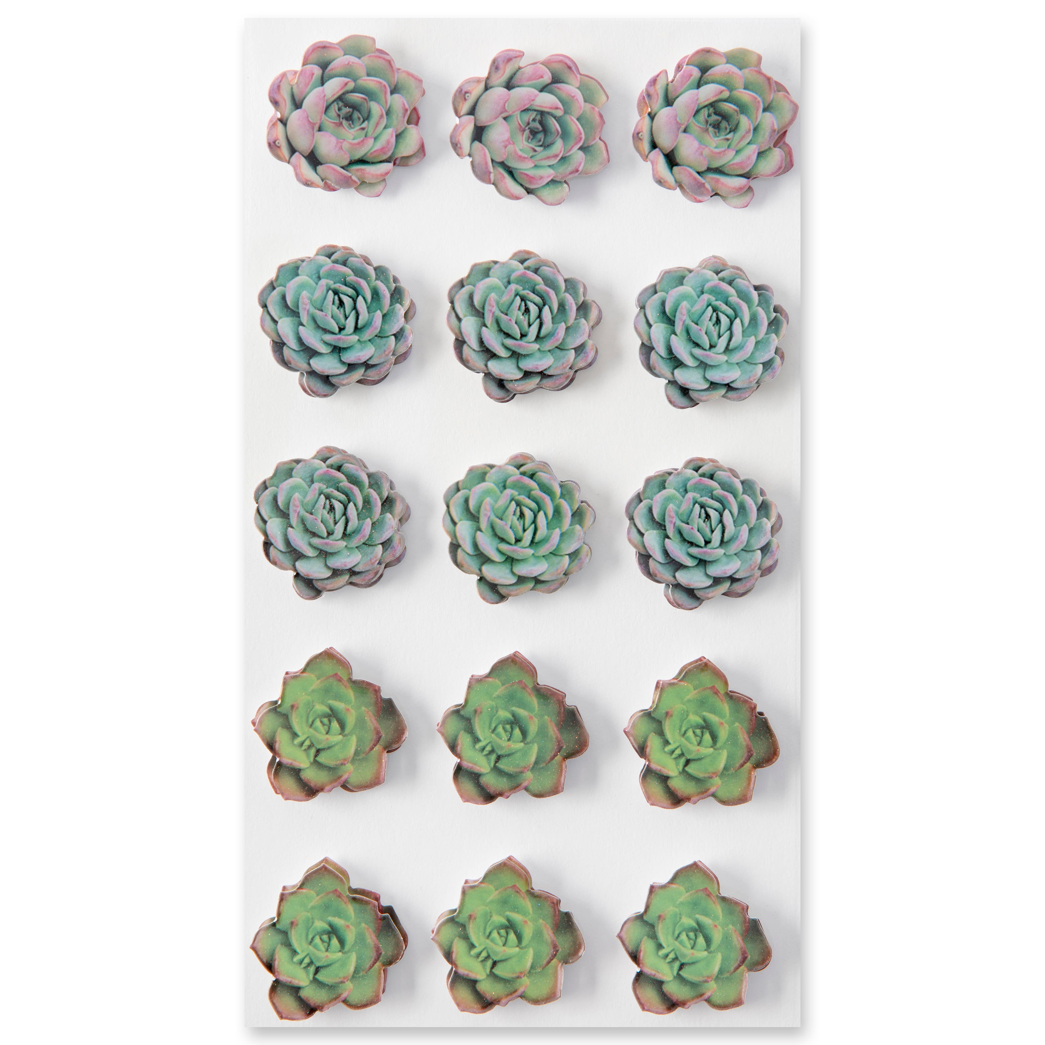 Succulent Stickers by Recollections™